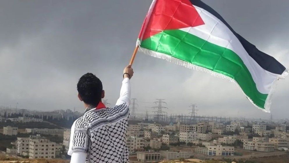 Global Support Expands for Two-State Solution - Jordan News