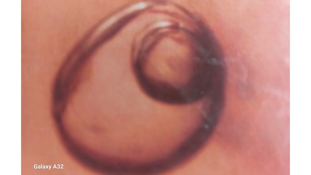 The largest bubble of water and air was discovered in Jordanian amber, dating back 140 million years - Jordan News