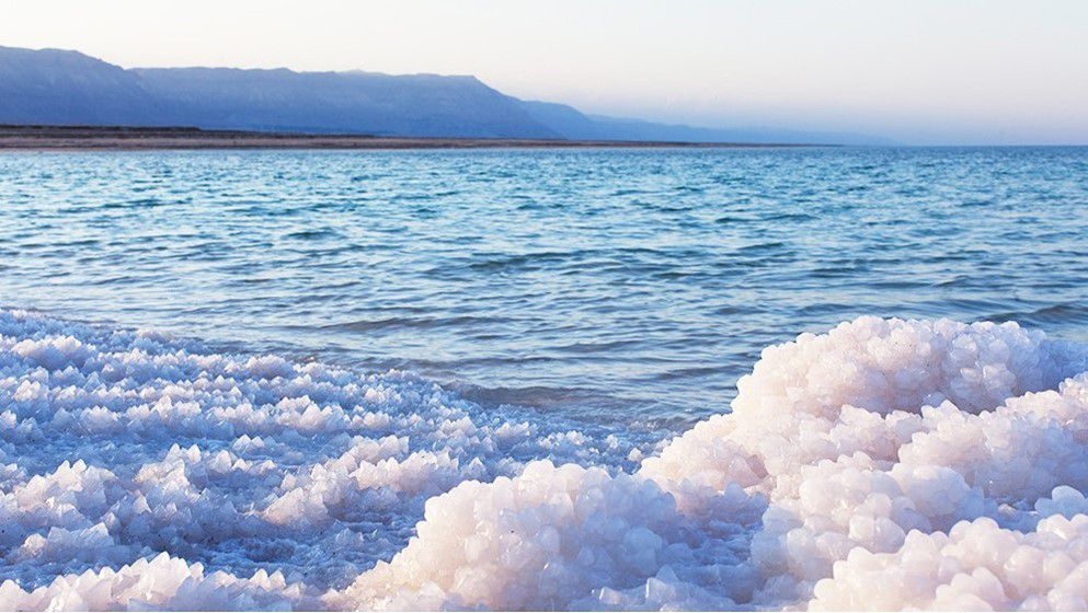 To Support Medical Tourism in Jordan: Dead Sea Products as a Global Jordanian Identity - Jordan News