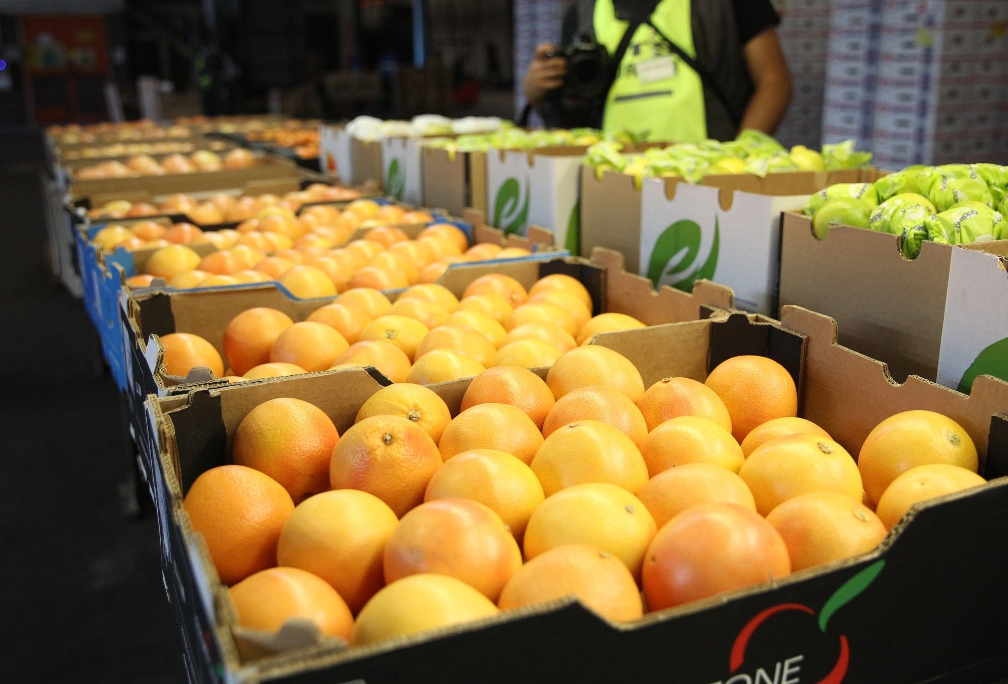Exploring the growth of South Africa's agricultural exports amid global challenges