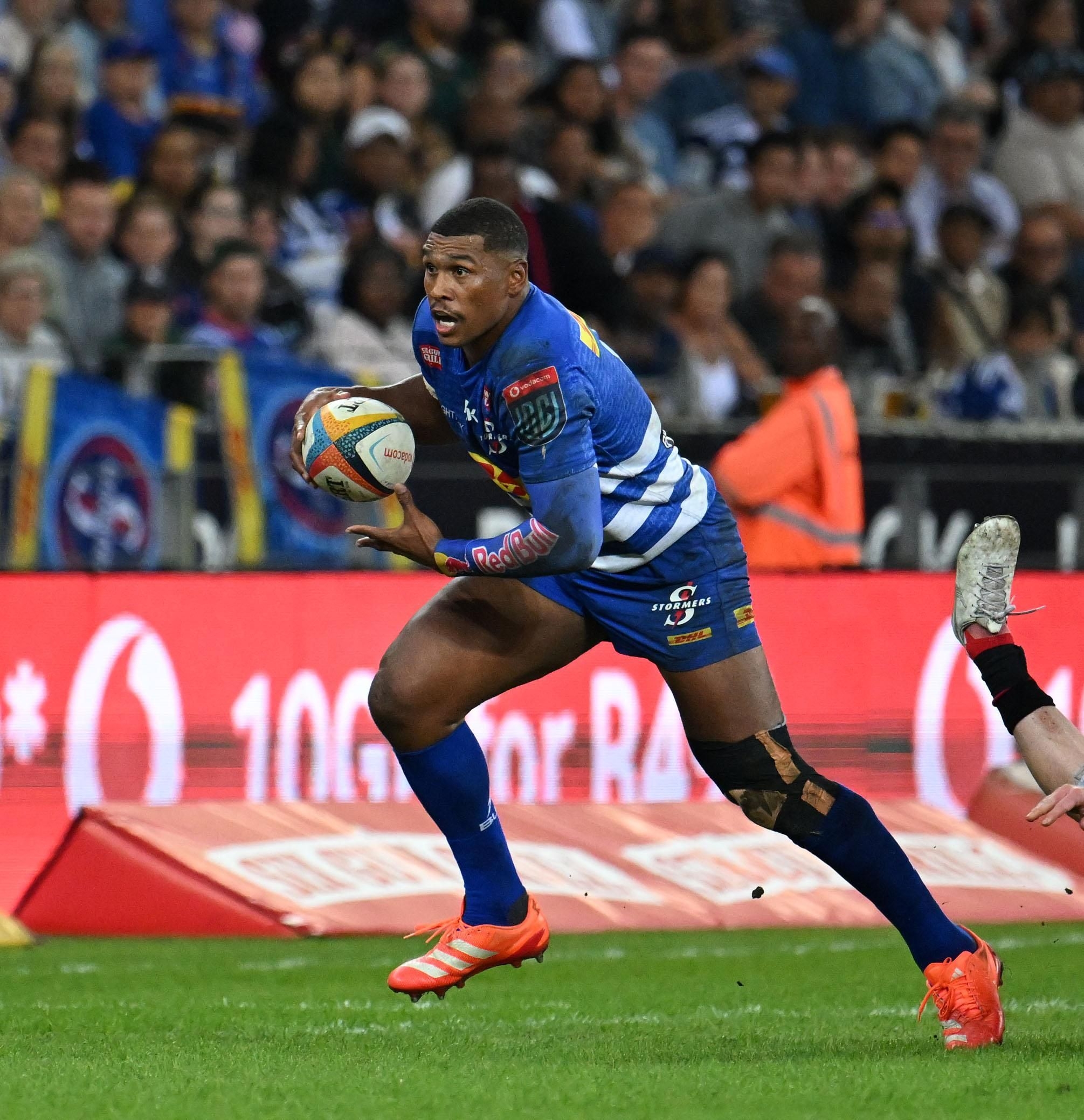 Bulls, Sharks, Stormers must win URC quarter-finals after Champions Cup no show