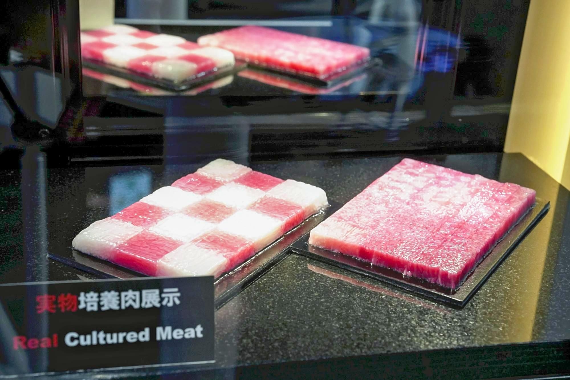 As South Africa faces livestock health issues, Japan Expo presents potential food production innovations
