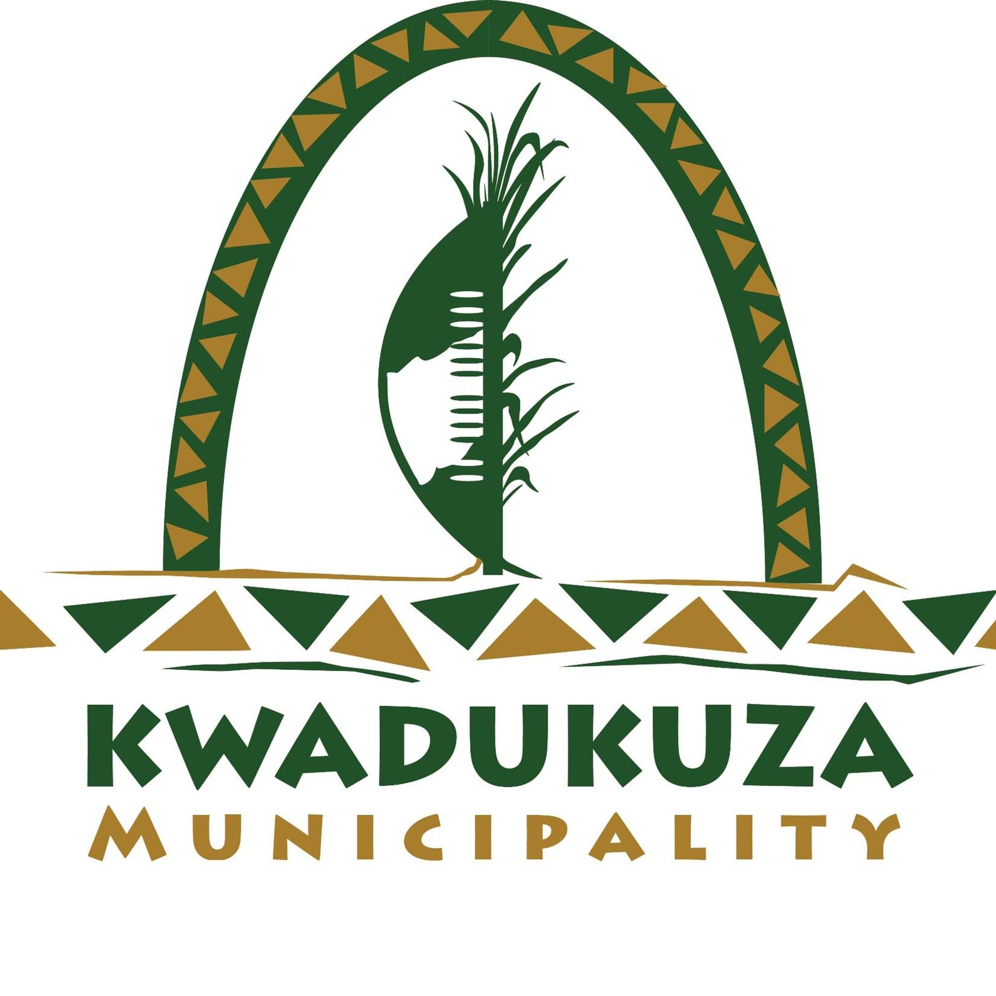 Coalition appeal: ActionSA urges DA and EFF to unite against ANC in KwaDukuza