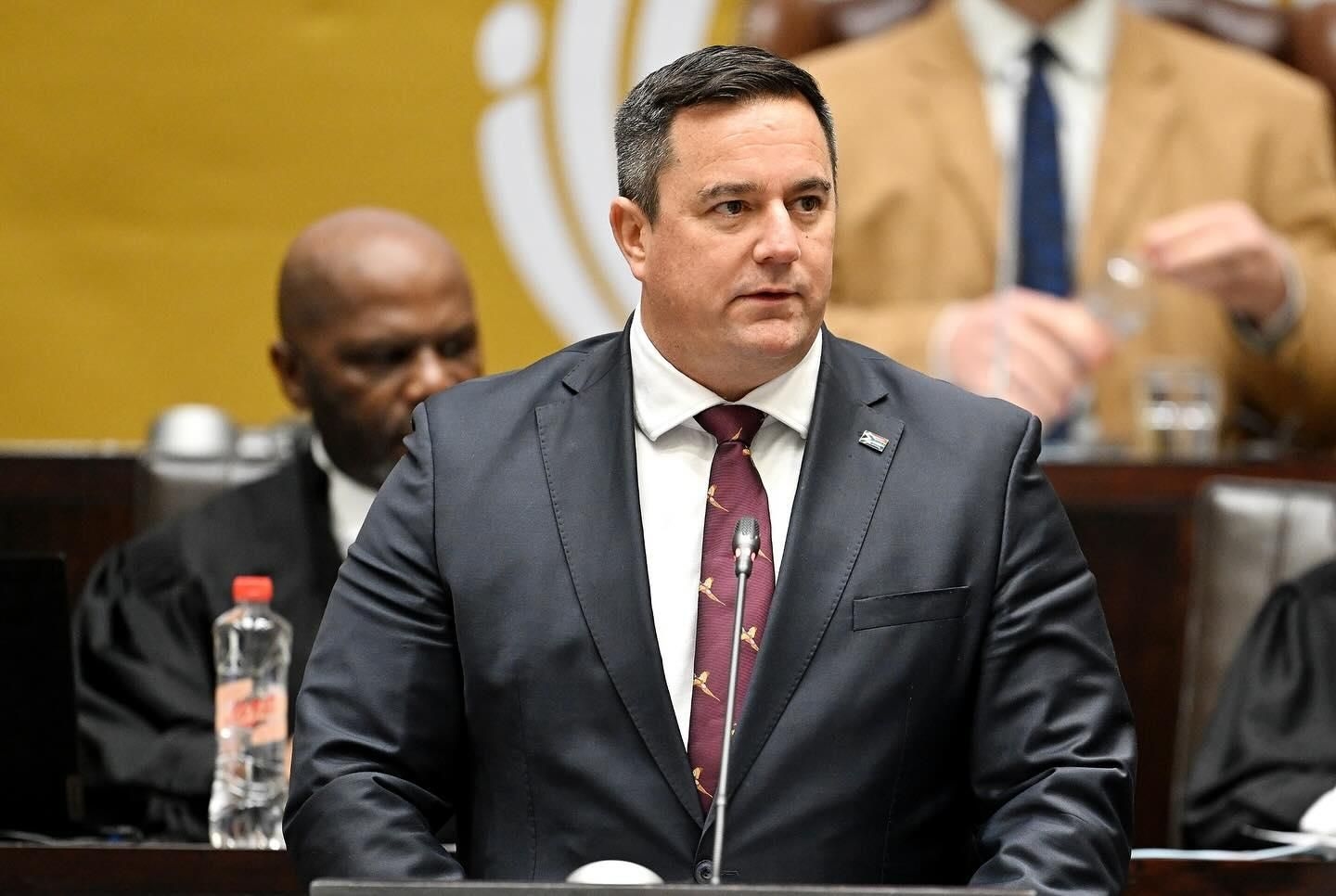 Steenhuisen declares 24 bottles of Pinotage, Fieldbar Cooler, Uganda trip, and renting a Sea Point townhouse