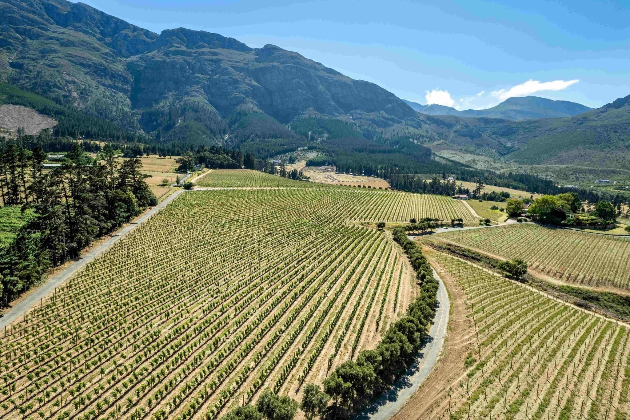 Two guests injured in panga attack at Chamonix Wine Farm in Franschhoek