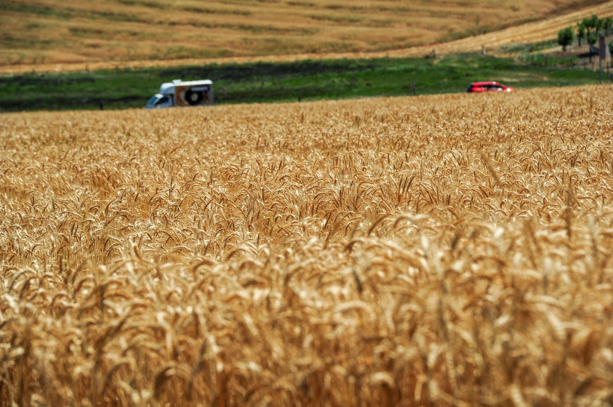 Nampo Harvest Day kicks off, spotlighting the future of South African agriculture