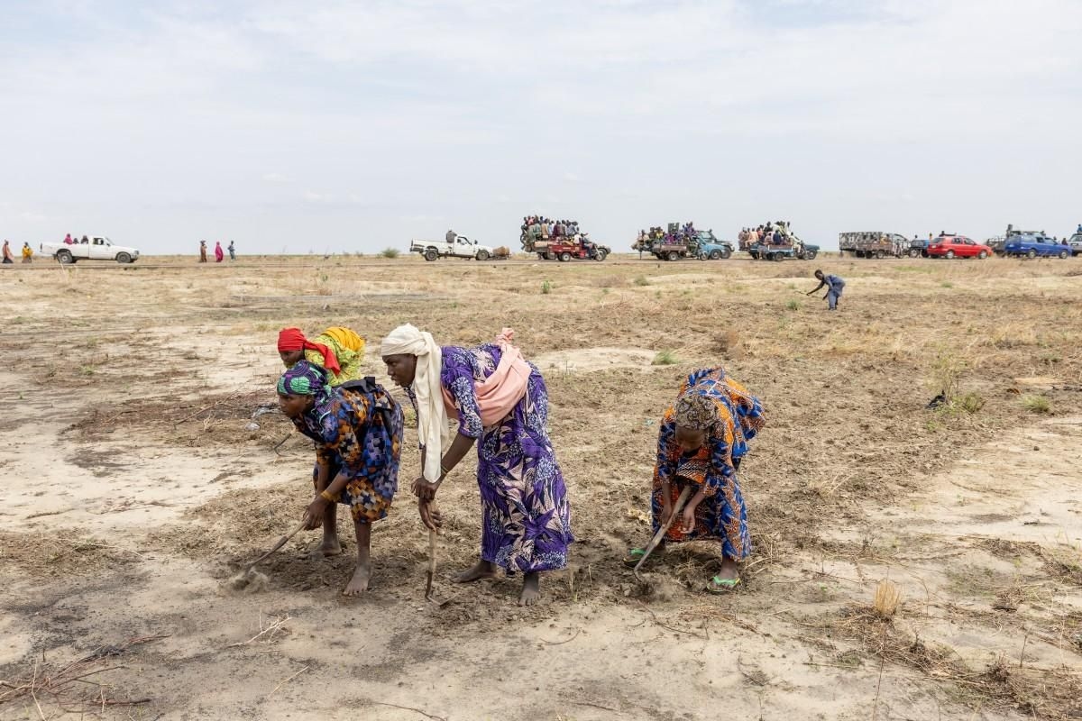 African Giant Nigeria in Trouble as Humanitarian Crisis Looms