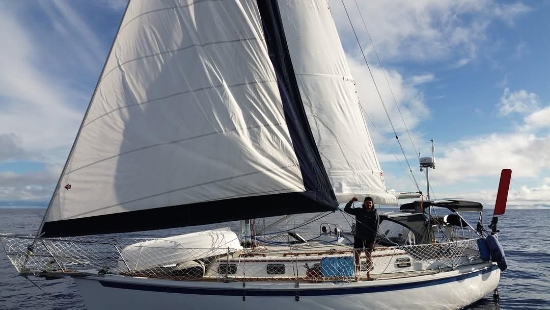 Sailing away from the 9-to-5: man and his cat embrace life on the open seas