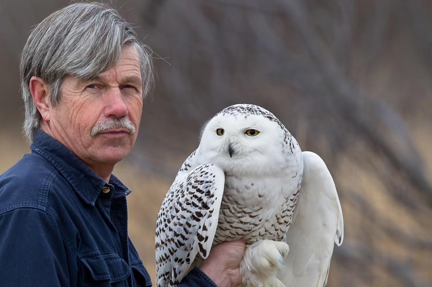 The ‘owl man' is busy at Boston airport