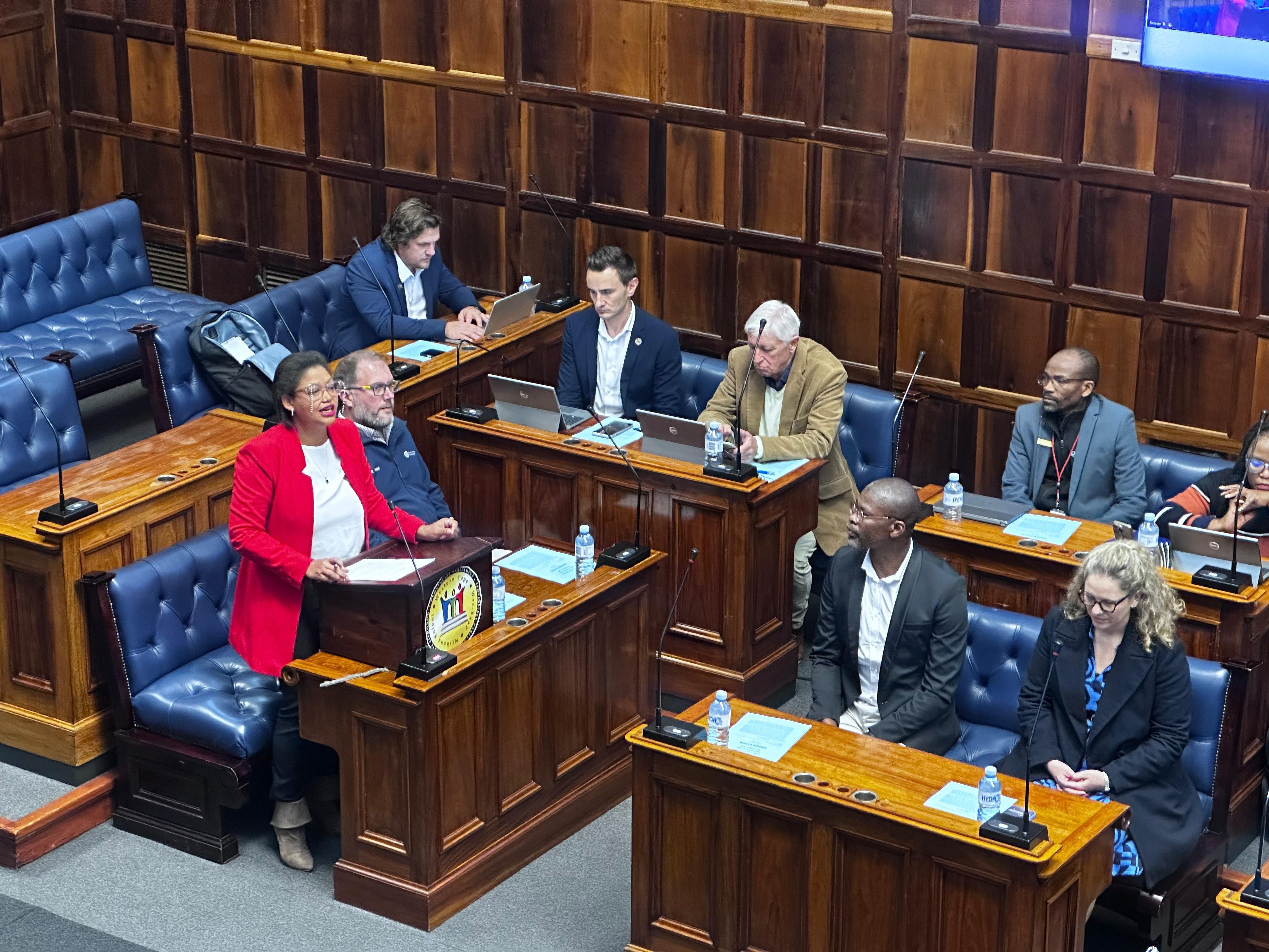 Western Cape Finance Minister re-tables R89. 3 billion Appropriations Bill as national budget faces uncertain future