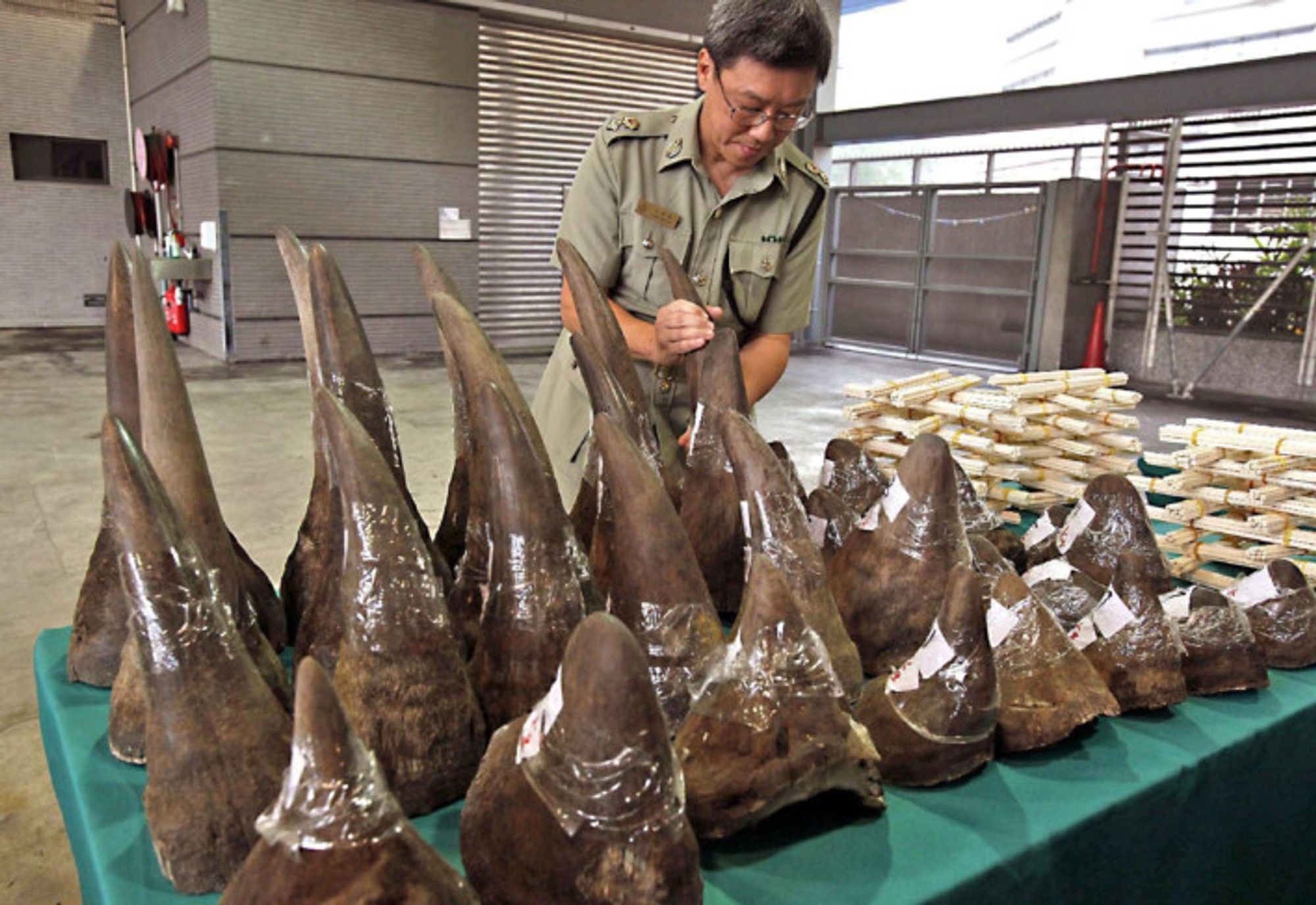 Hawks and SAPS K9 Unit thwart rhino horn trafficking in Swellendam