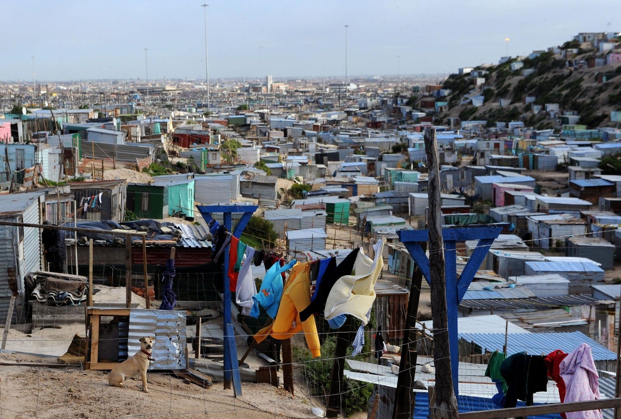 Cape Town's informal settlements: a growing crisis in urban housing
