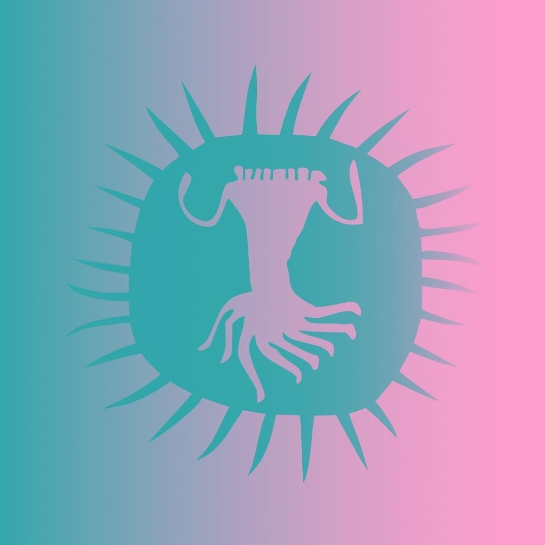 Experience AfrikaBurn: A journey through Tankwa Karoo