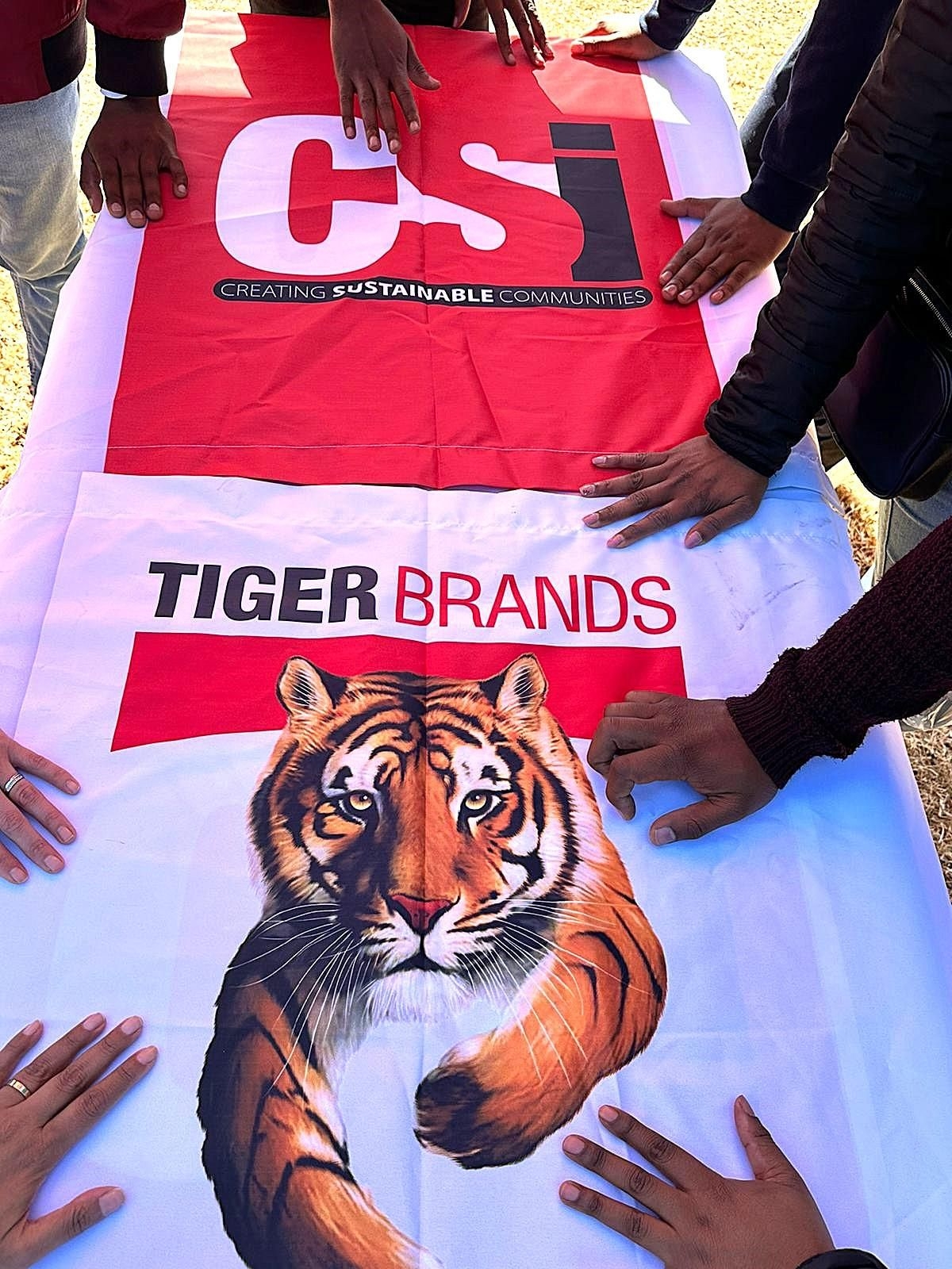 Tiger Brands exits deciduous canned fruit business, establishing R150 million community trust