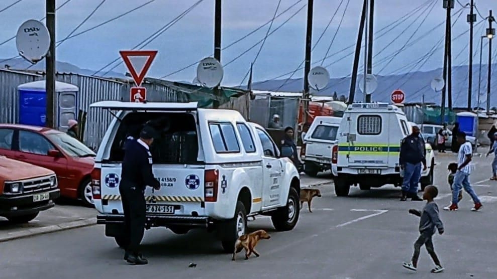 Lansdowne police arrest suspected serial cat killer in Ottery