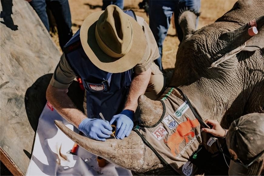 Wits University and IAEA's innovative nuclear project aims to protect rhinos from poaching