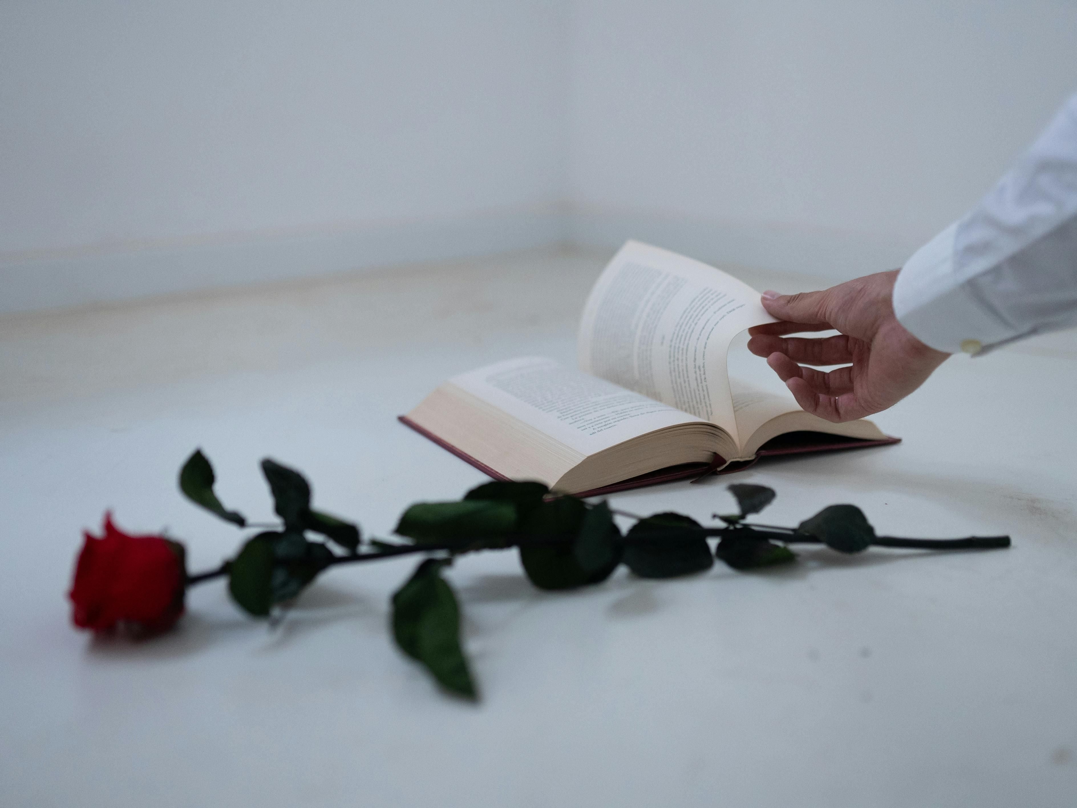 Honour your dad this Father's Day with these incredible book recommendations