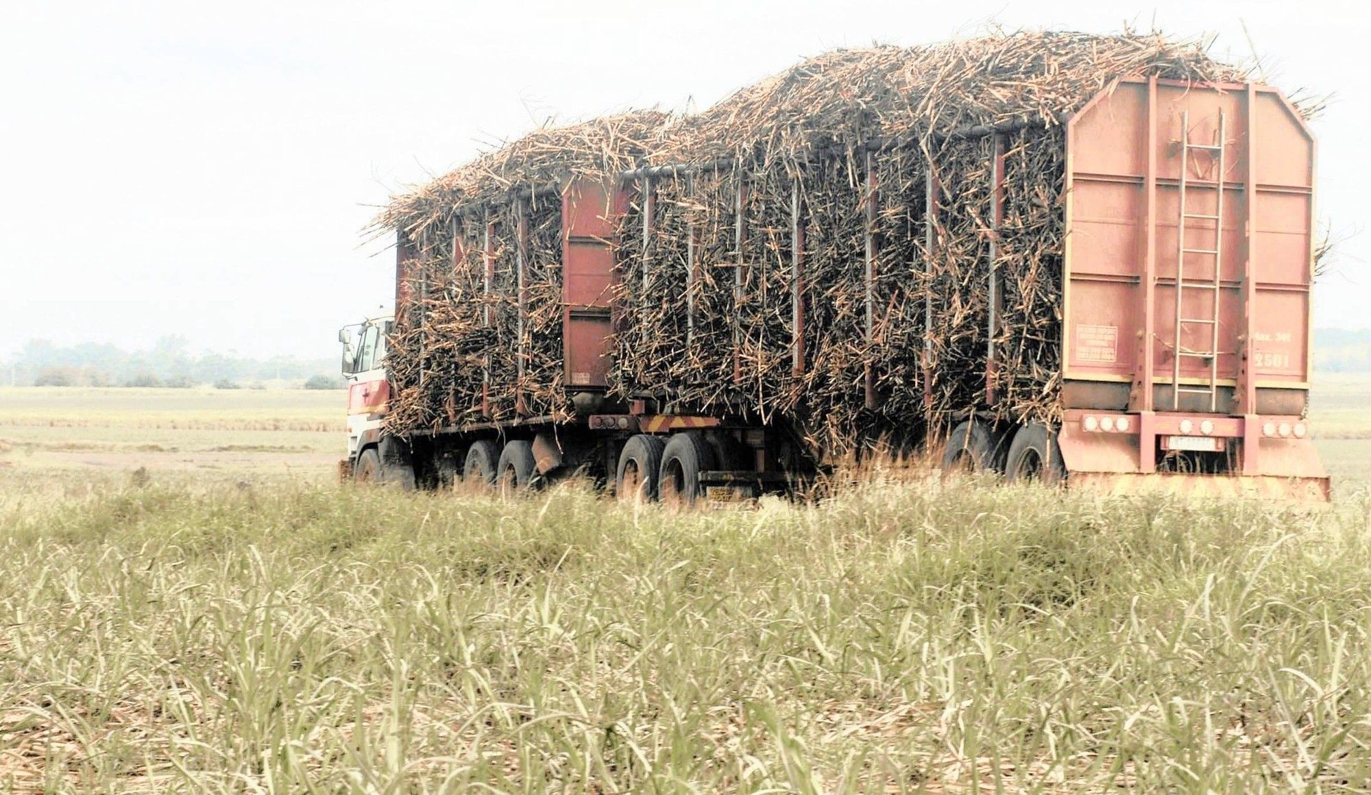 Tongaat Hulett's sugar mills lead South Africa in recovery performance