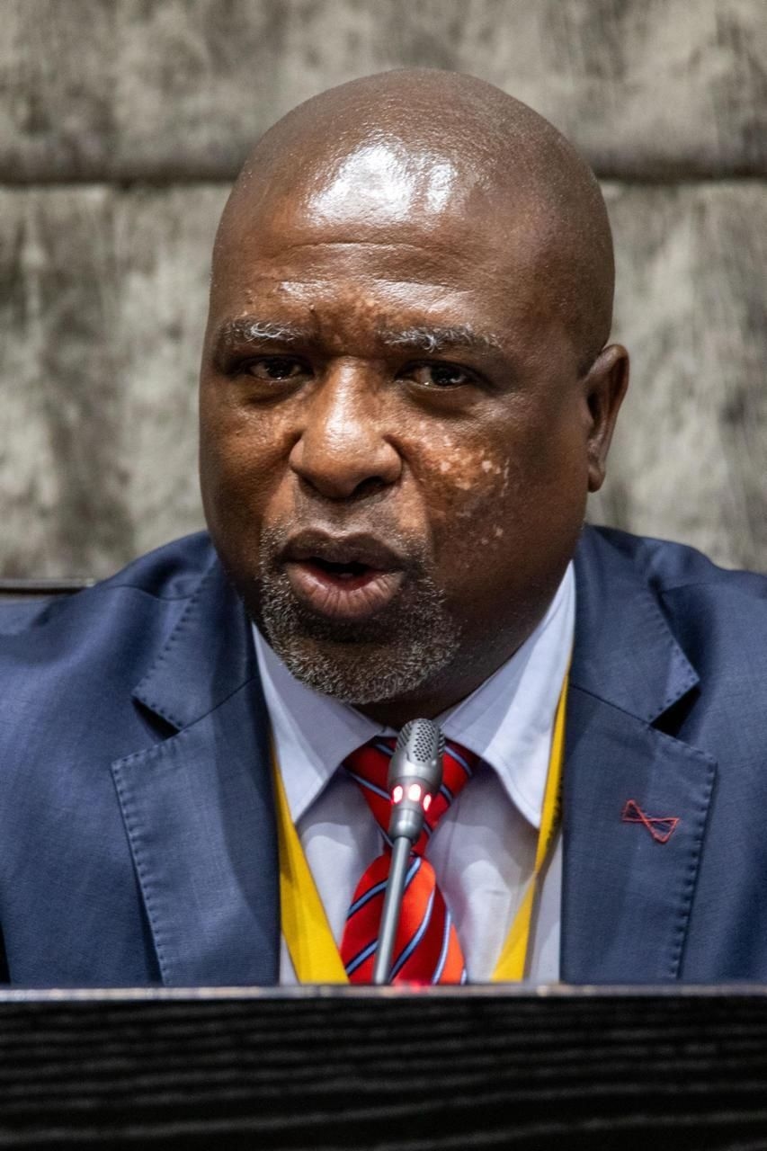 Ad hoc Committee sets Friday deadline to finalise terms of reference in Mkhwanazi's probe