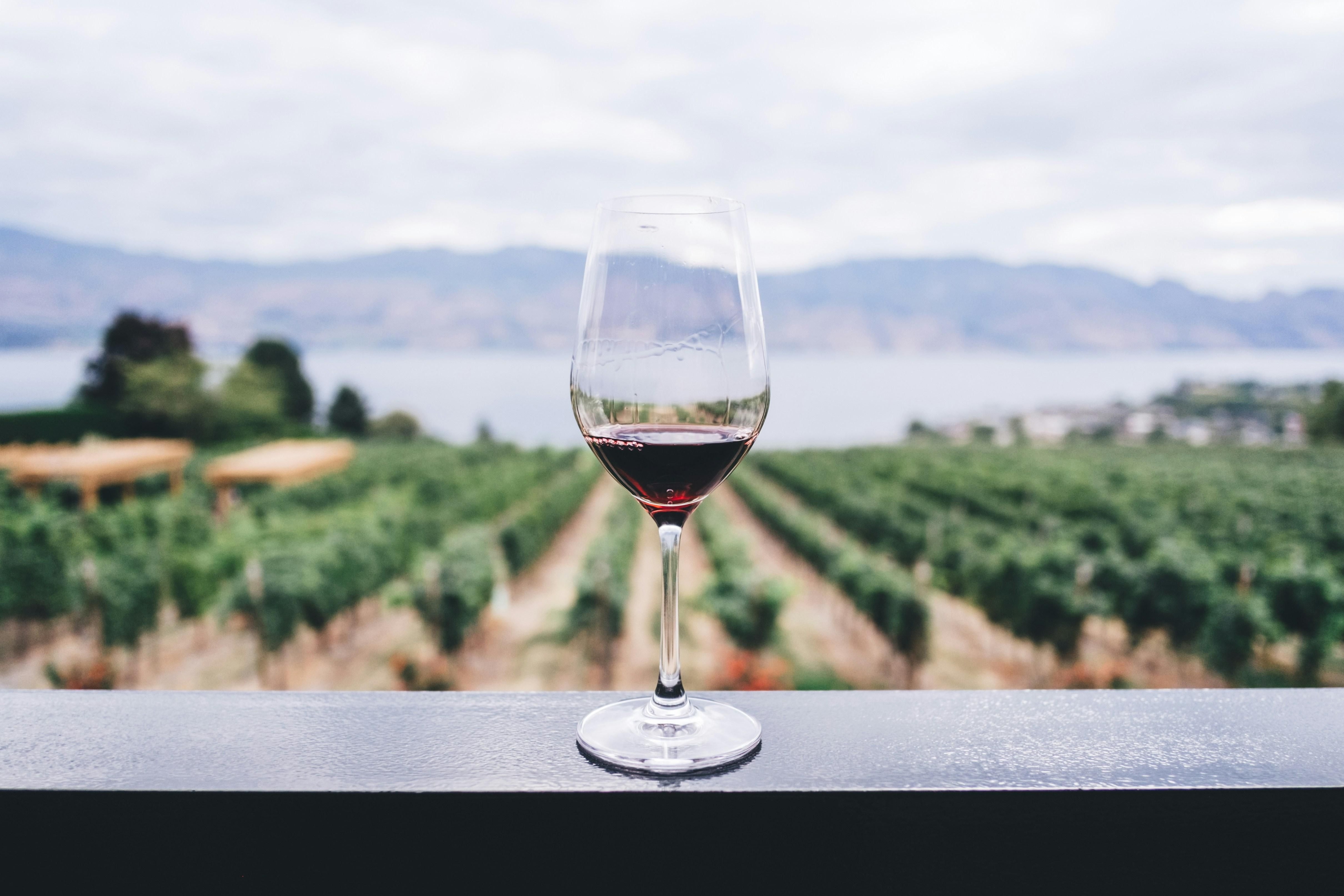 Sip smart: a study on the health perks of moderate alcohol consumption