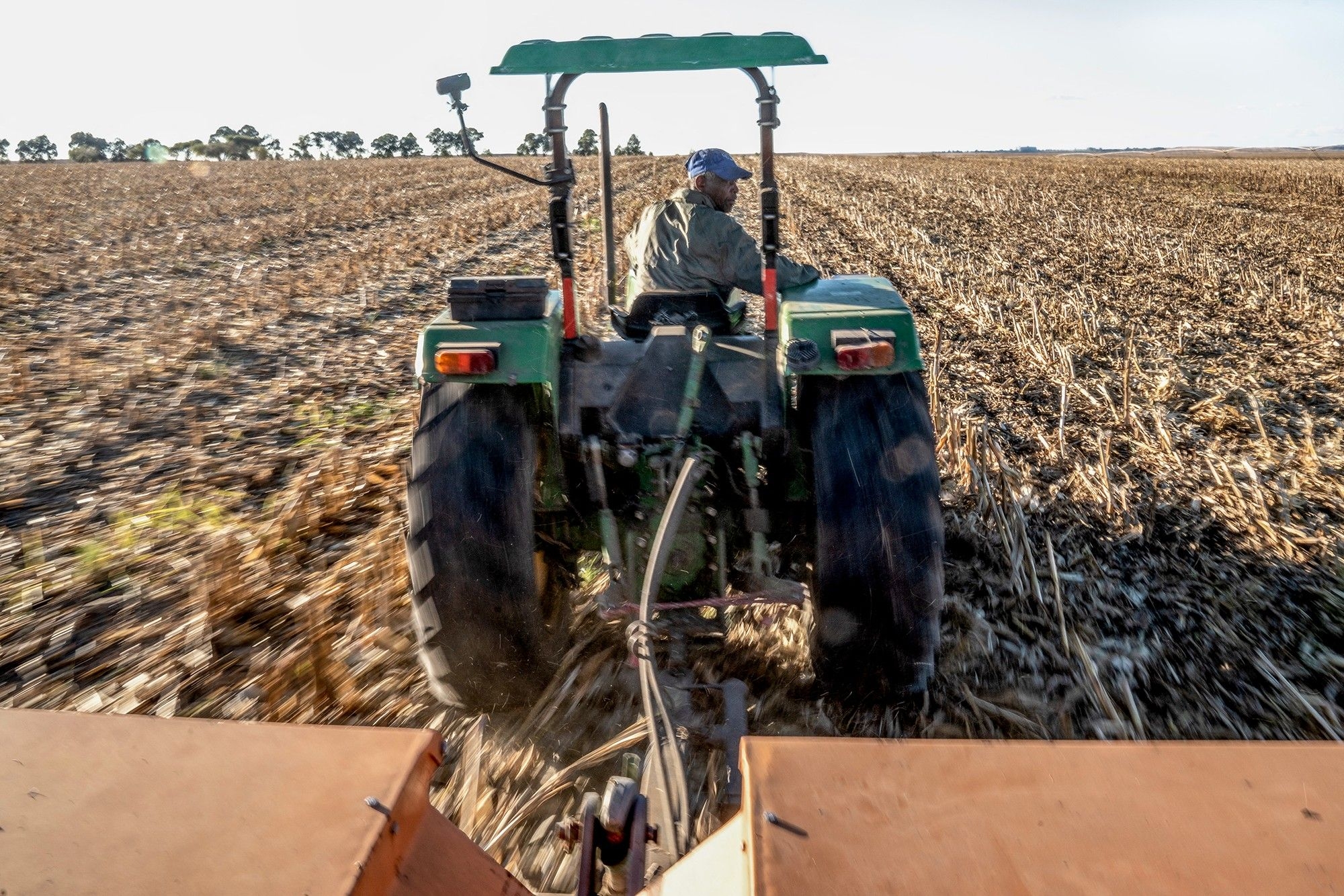 Corruption Watch calls for investigation into failed farm worker equity schemes