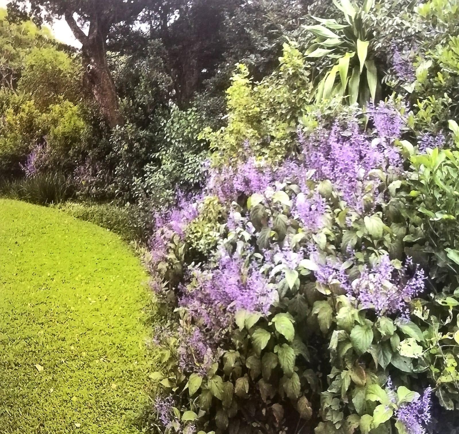 The rewards of planting indigenous gardens