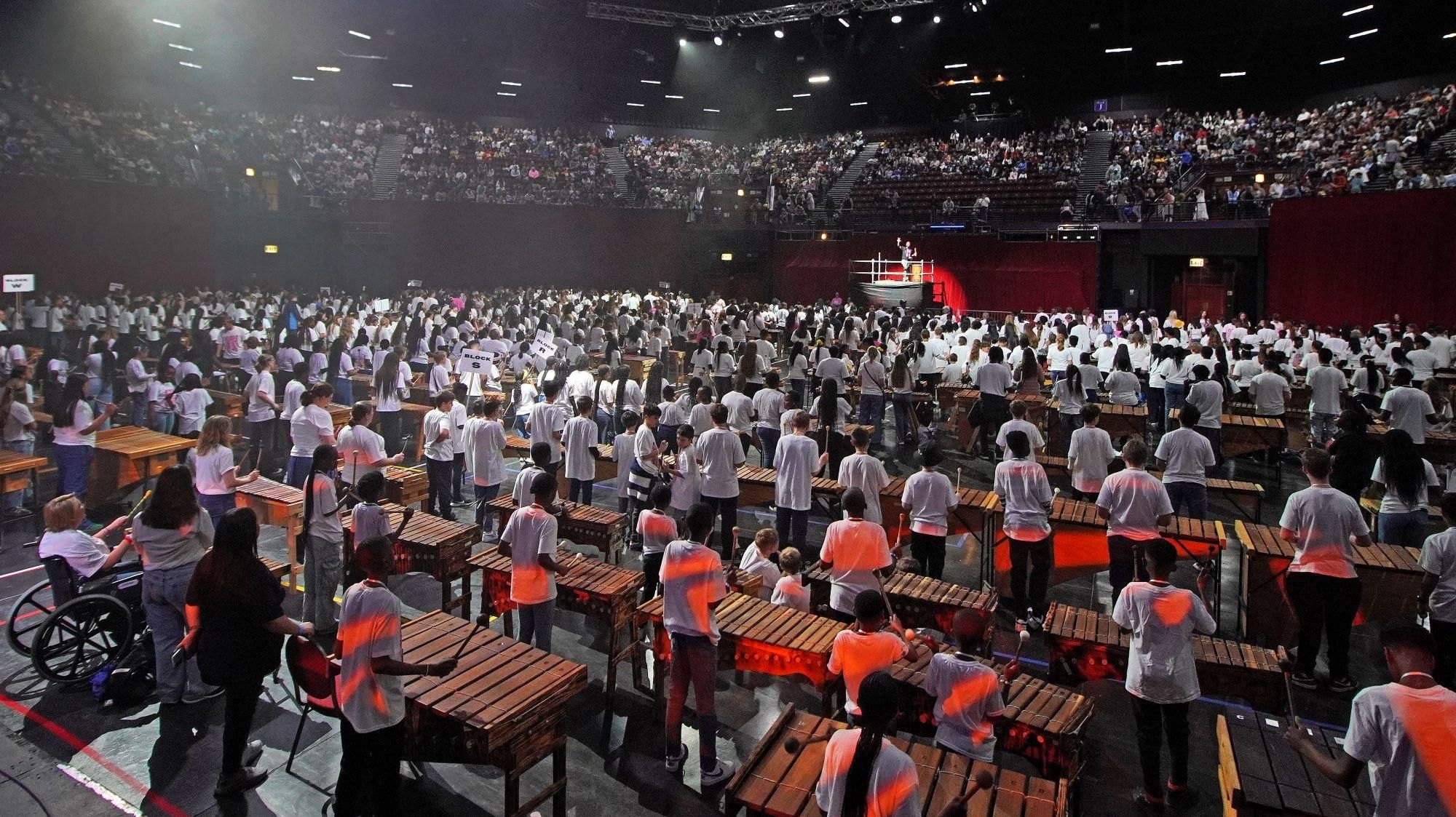 'Impossible to feel sad when you hear them': Watch 1,276 SA marimba players break world record