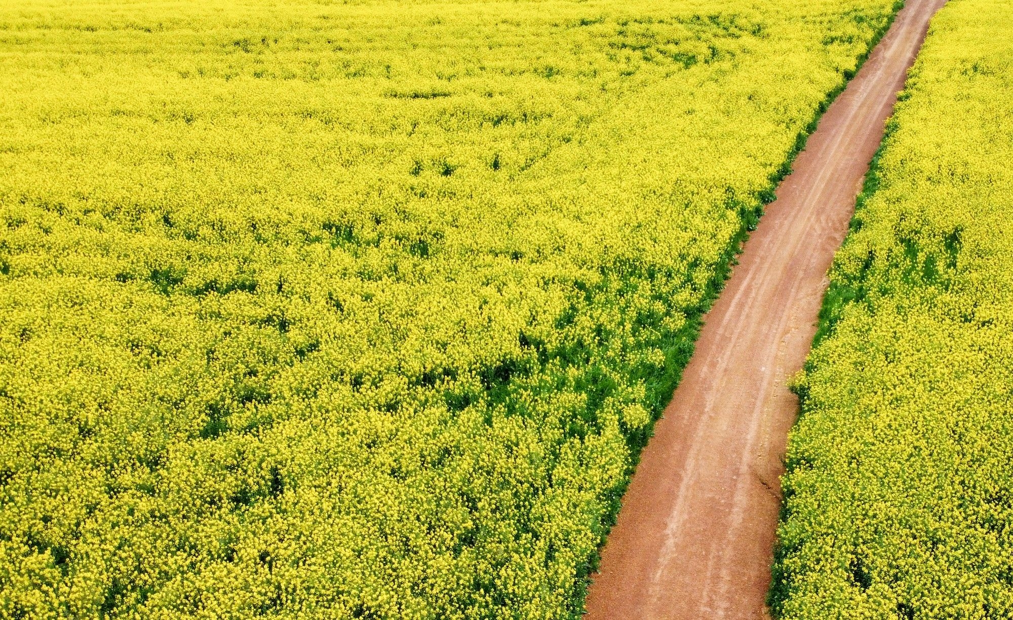 Electronic Deeds Registration System (eDRS) launched: transforming land registration in South Africa