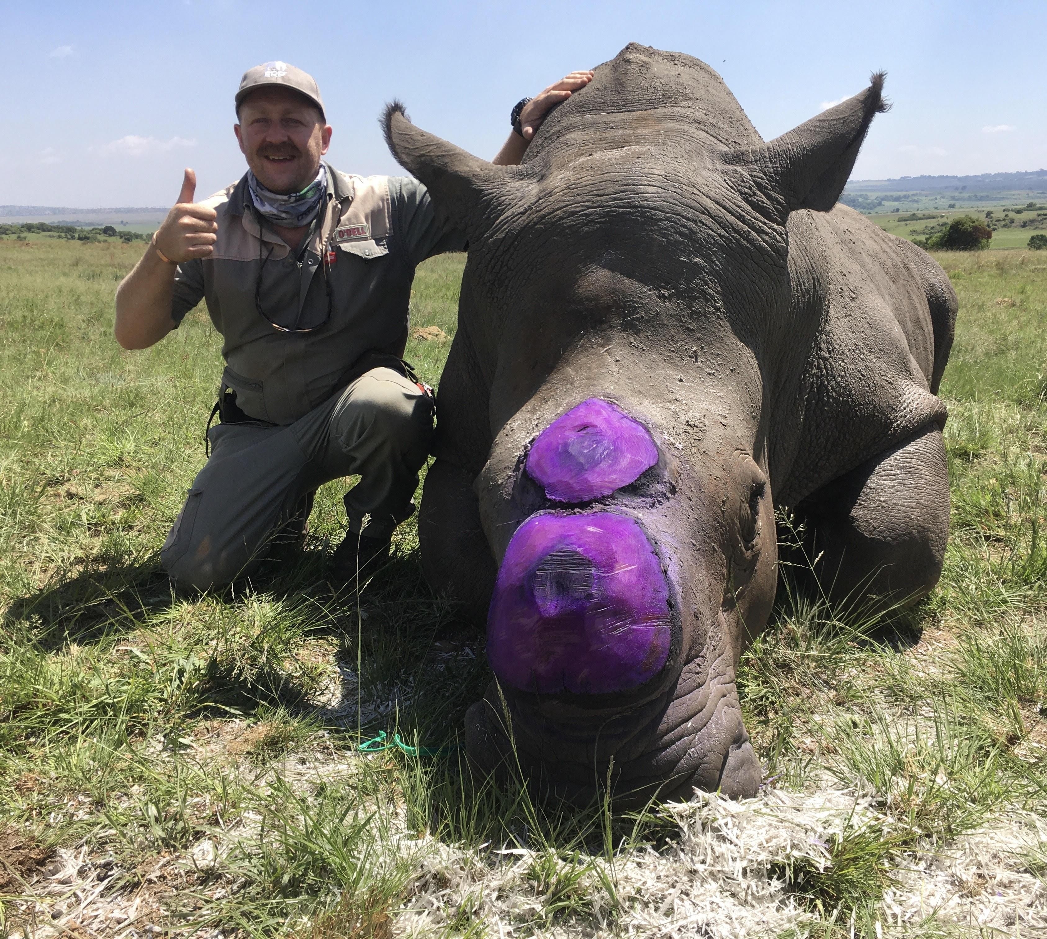 ‘It's not vets alone who are saving rhinos'