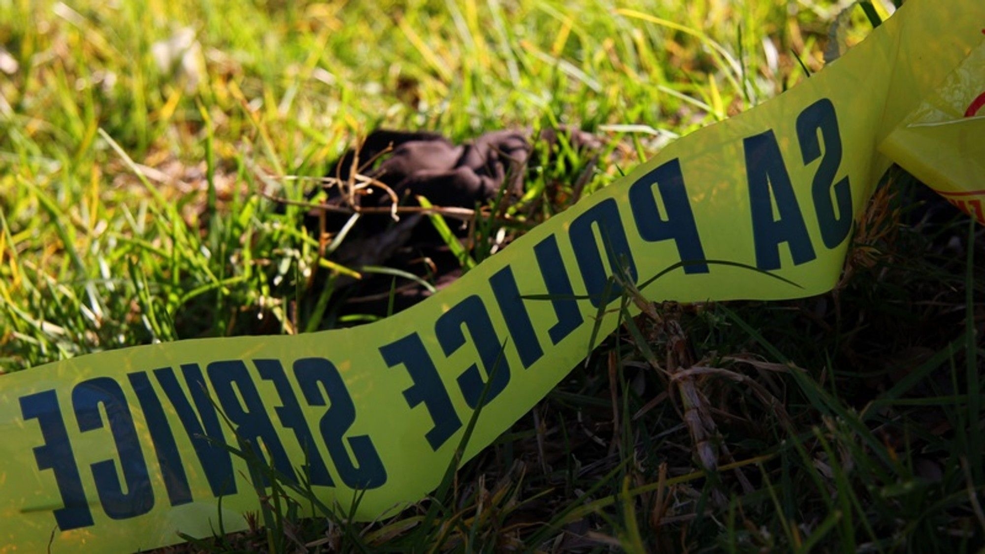 Free State Agriculture dismisses genocide claims against Afrikaner farmers