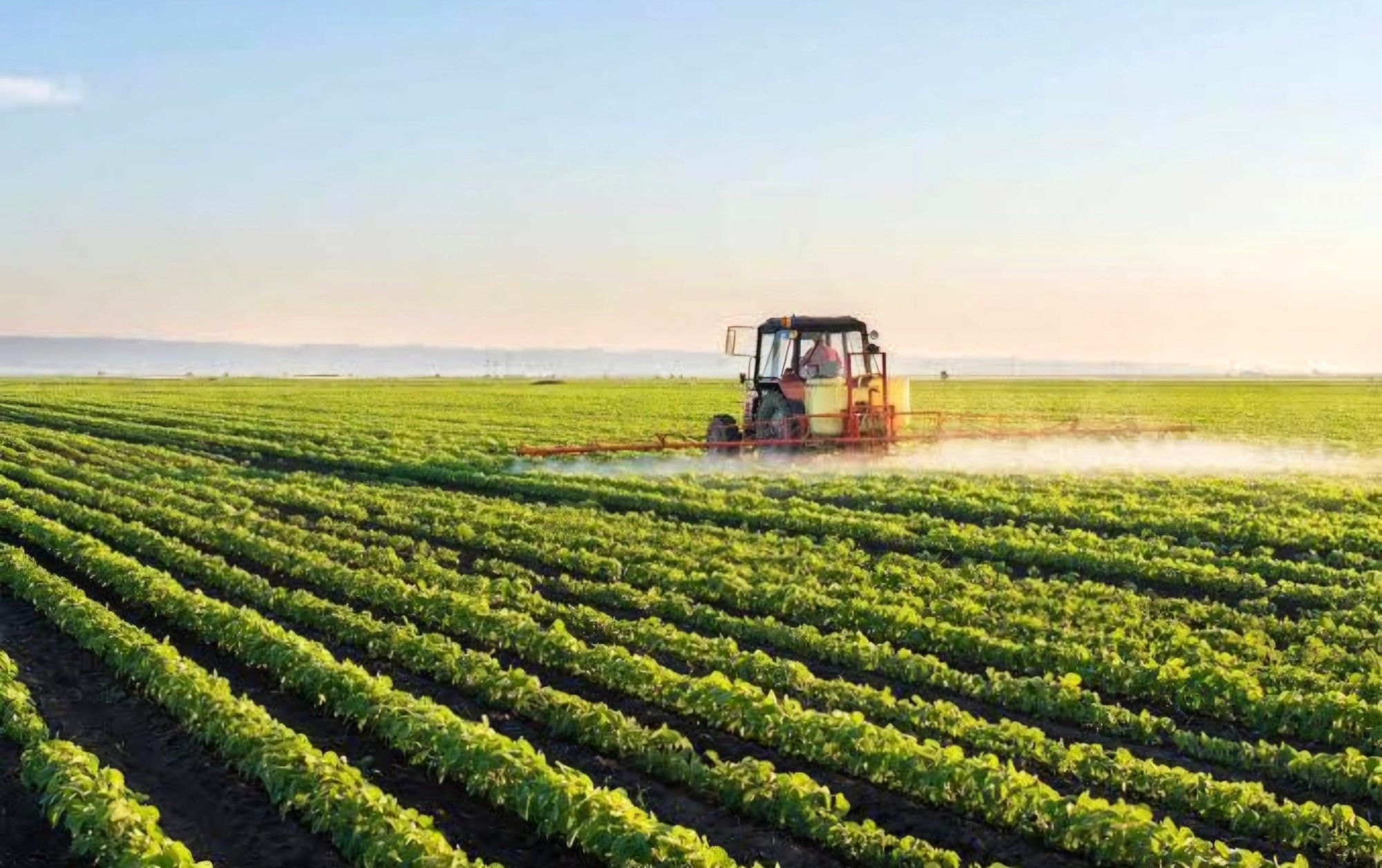 Farmer brain drain could be worse than export loss for SA agriculture