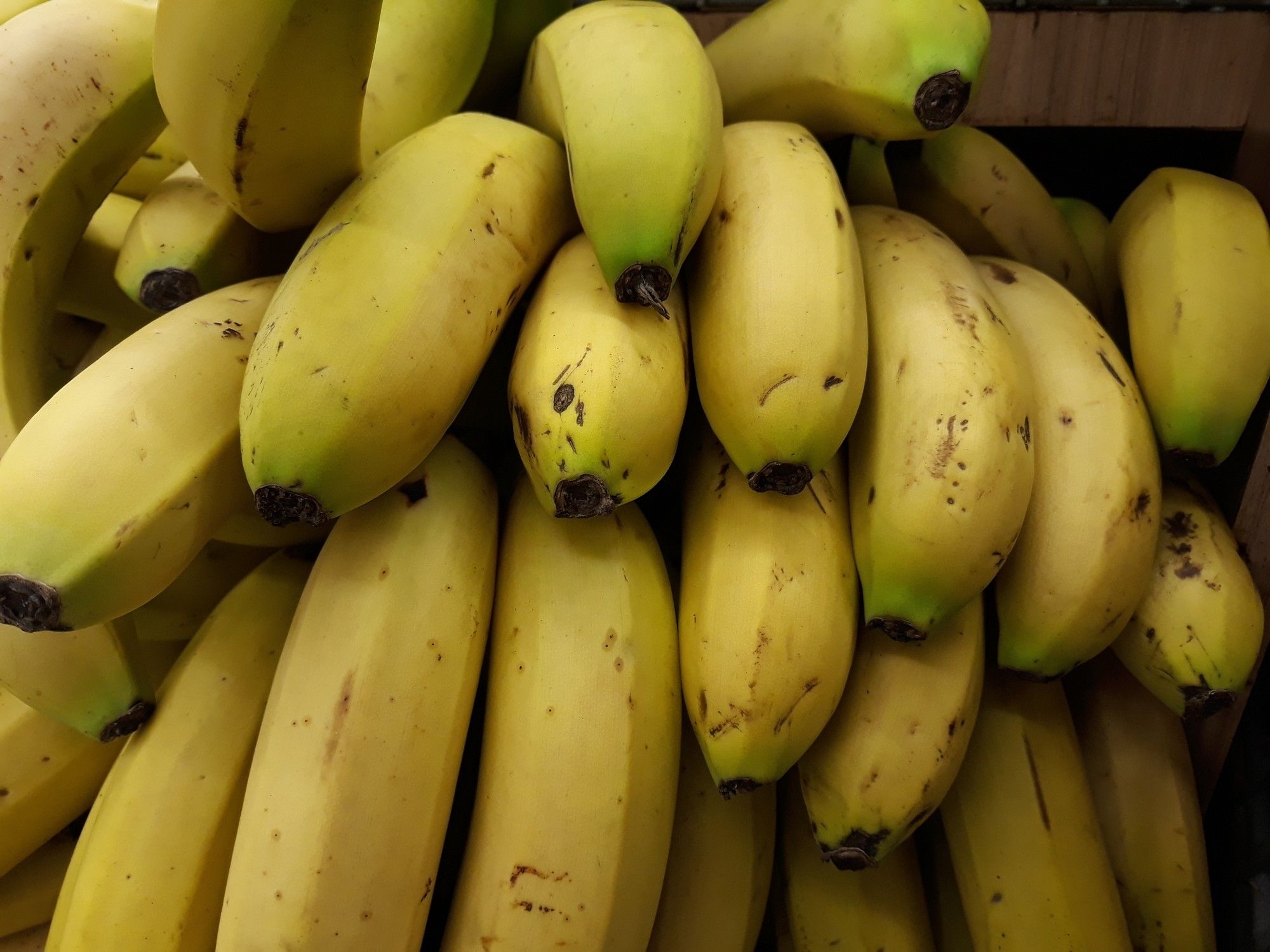 Tanzania bans agriculture imports from South Africa, Malawi