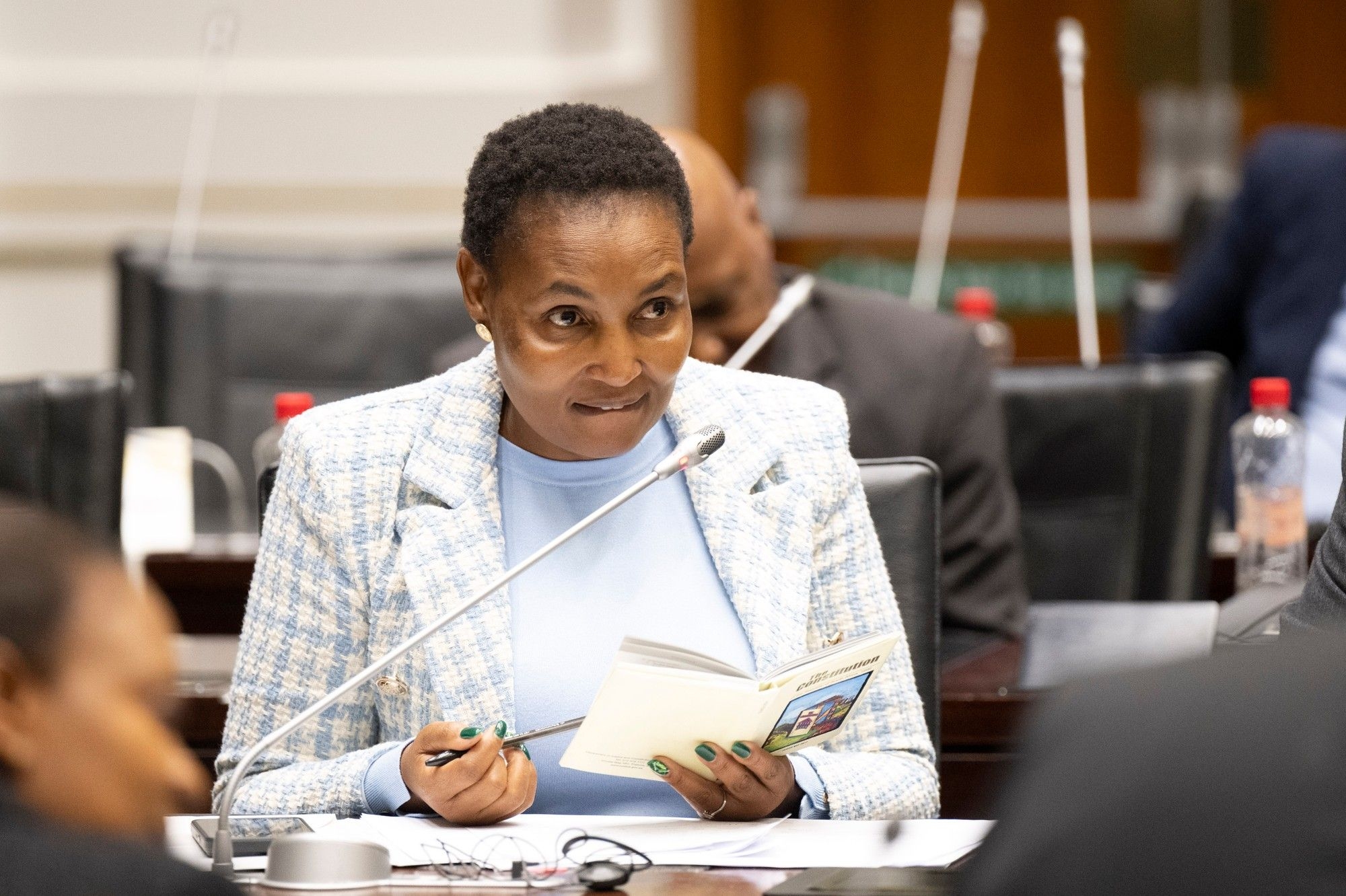 DA accuses Simelane of corruption during heated budget vote