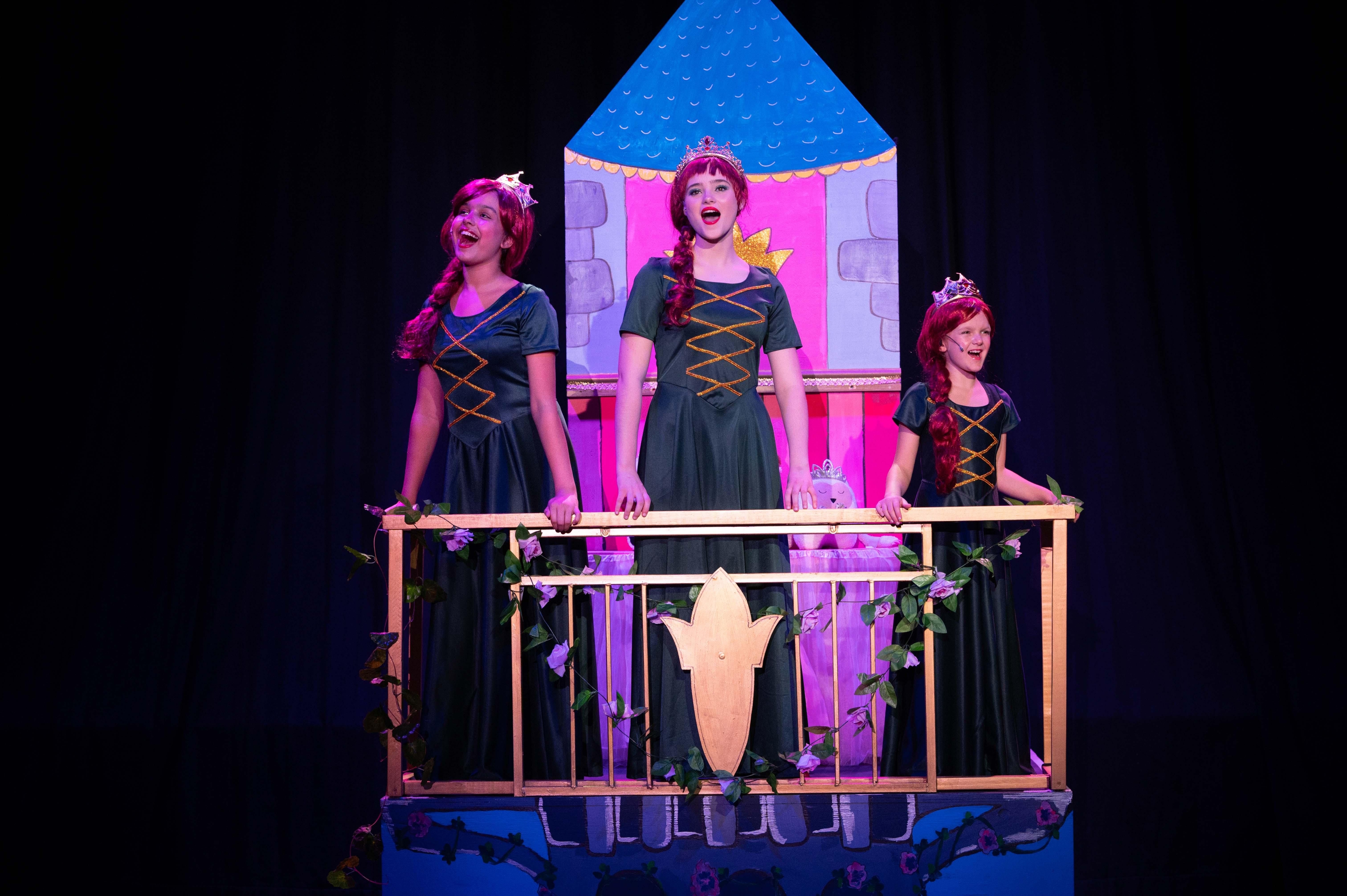 Shrek the Musical: a delightful escape at new Milkwood Theatre