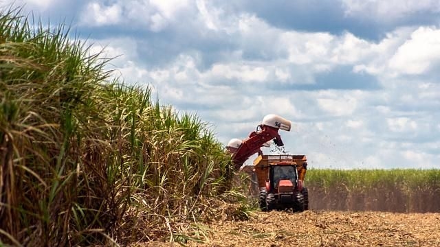 BRICS+ Series: São Paulo's Agribusiness Exports Lead and Close Q1 2025