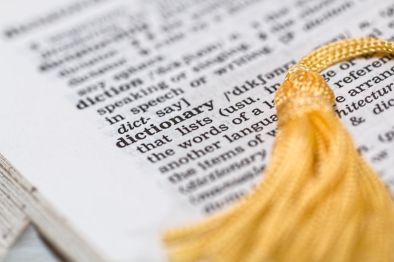 'Skibidi' and 'delulu': social media words added to Cambridge dictionary