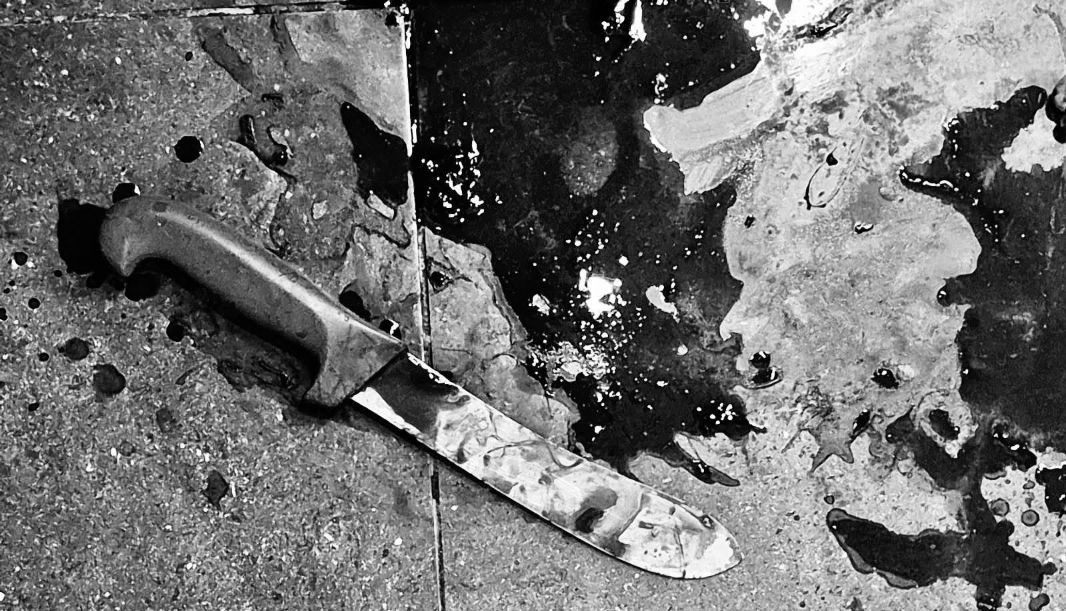 Close relative arrested for the murder of blind grandmother and attempted murder of daughter