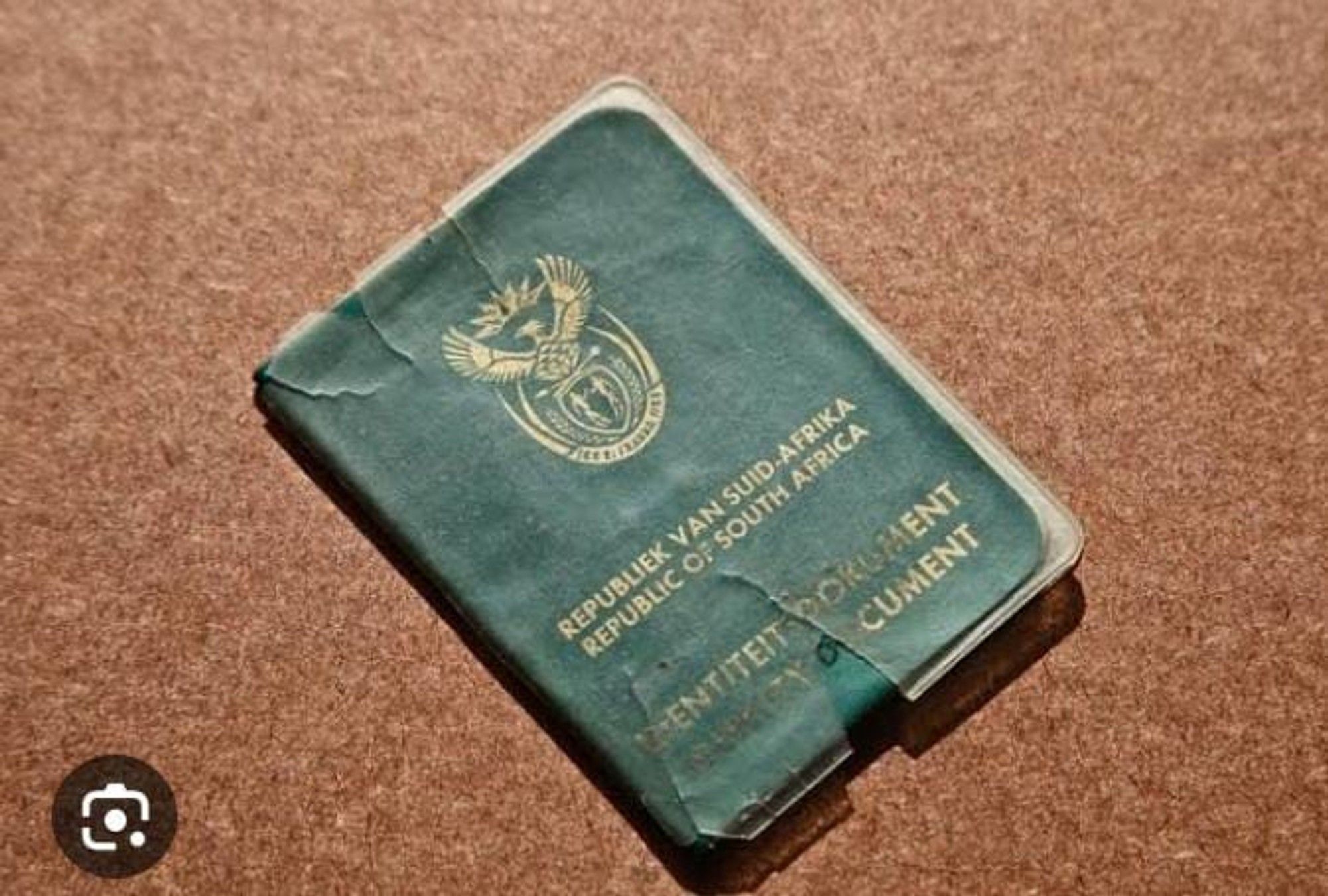 Green ID book to be replaced: Home Affairs Minister Schreiber outlines digital transformation plans