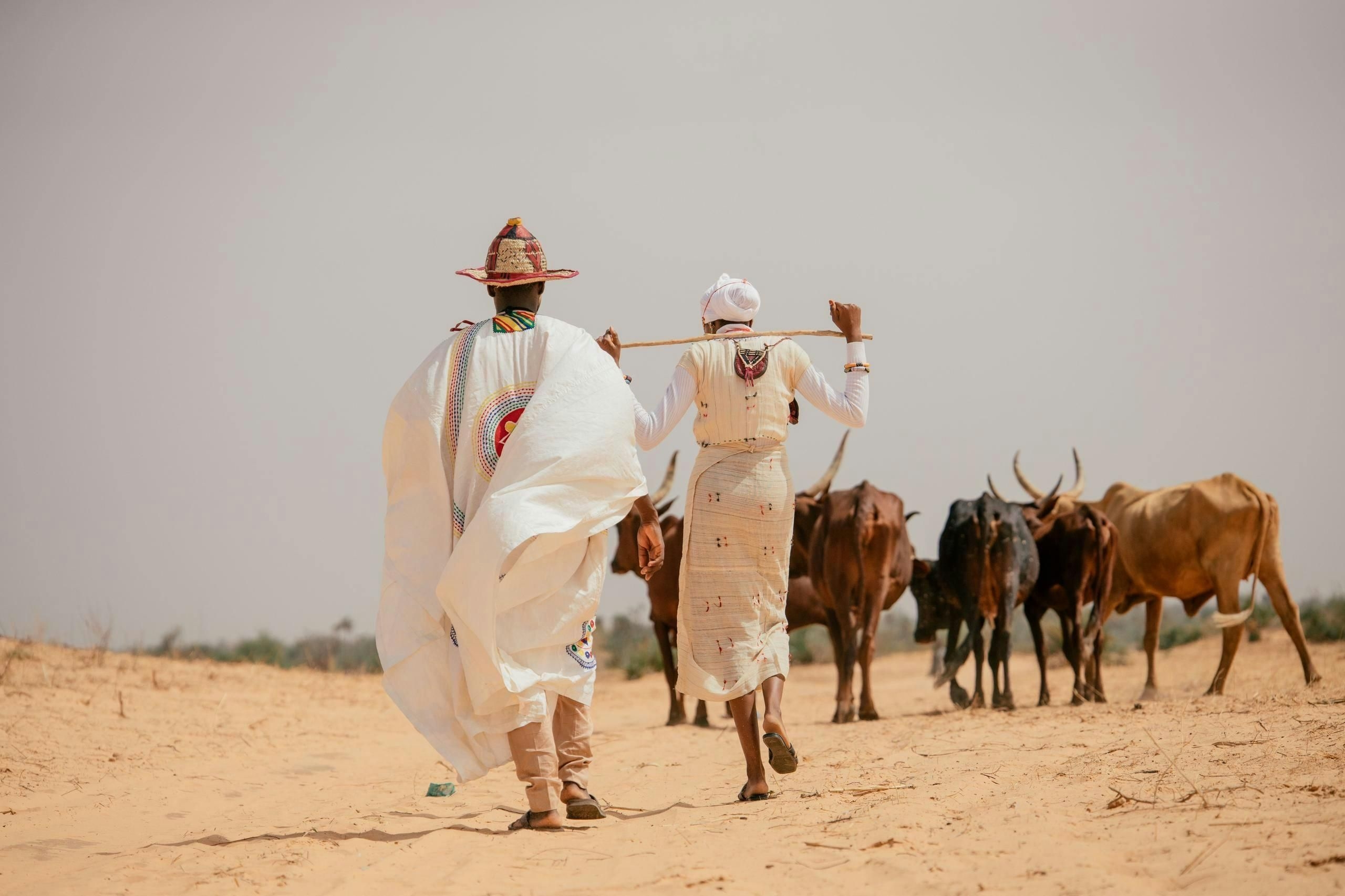 Trace your roots: the exciting rise of DNA tourism and ancestral adventures