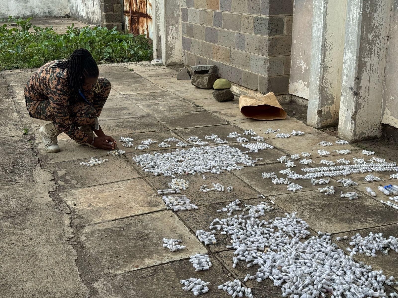 Rare-ant smugglers sentenced in African state