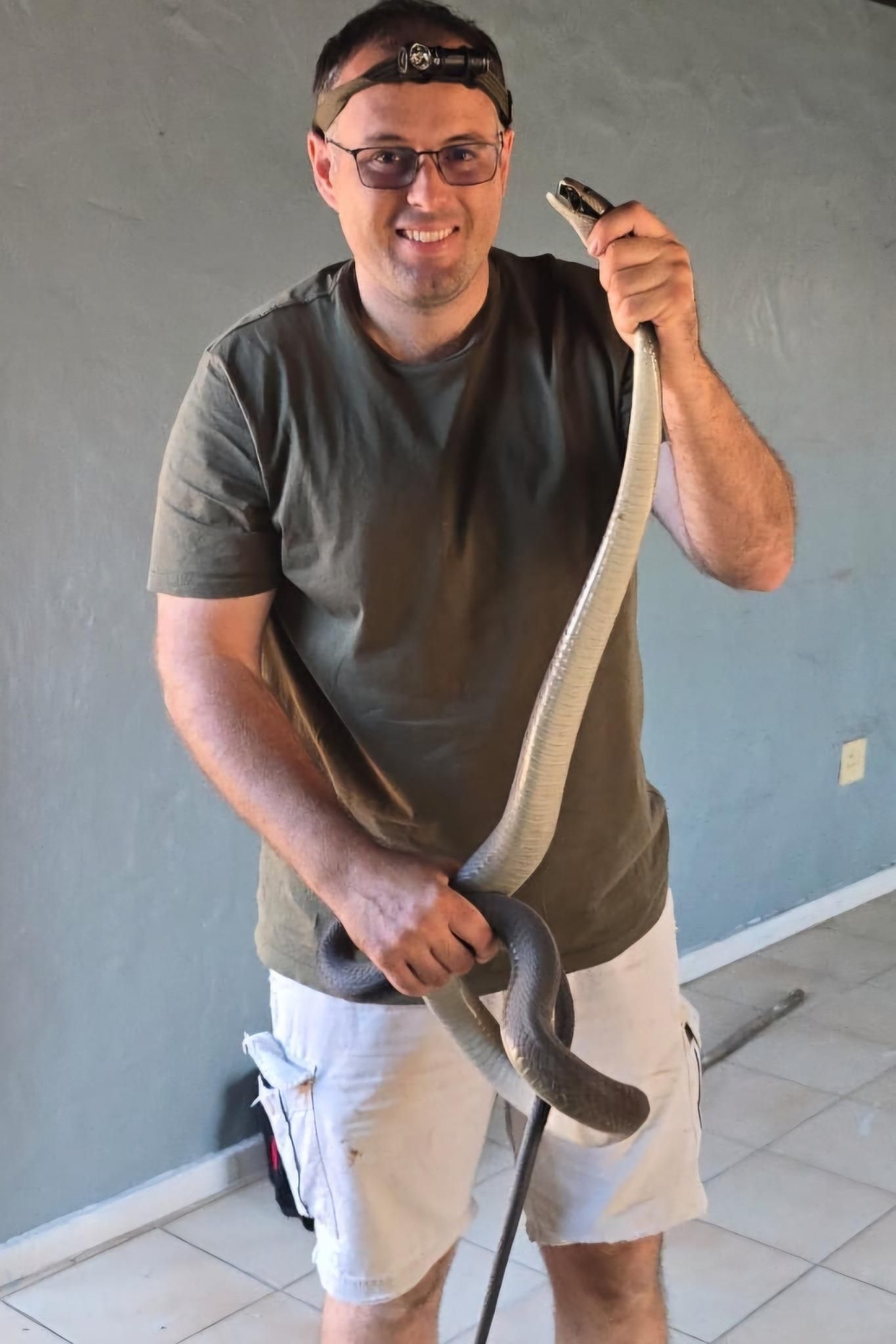 Durban snake catcher retrieves sixth Black Mamba from Westville home