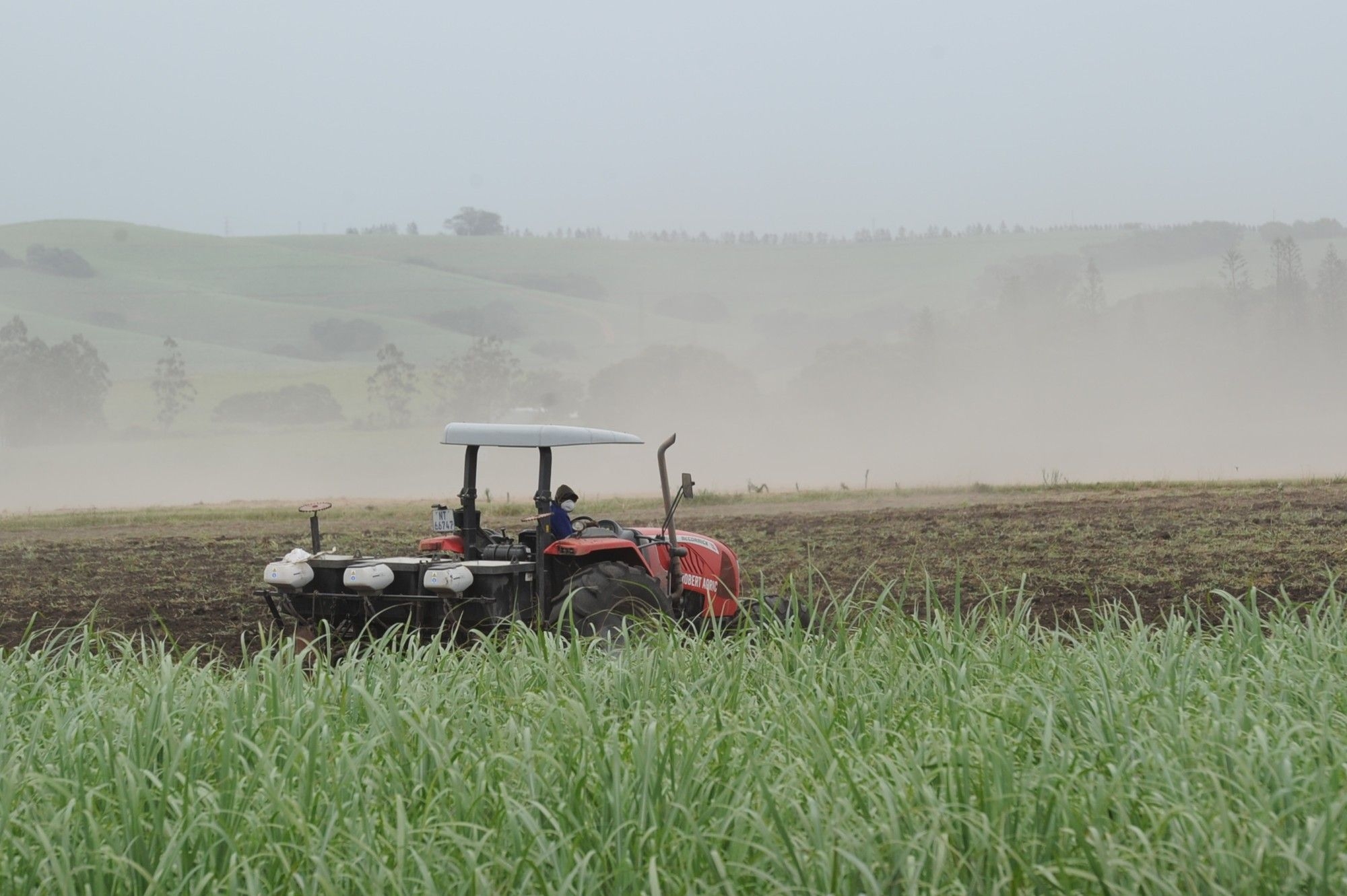 Most South African farmers are black: why Trump got it so wrong