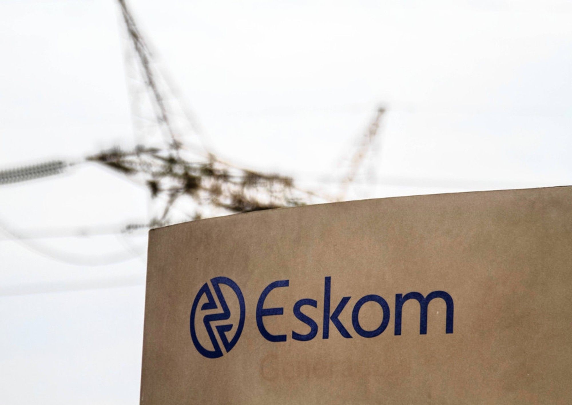 Environmentalists to challenge Eskom's nuclear plans amid concerns over outdated studies