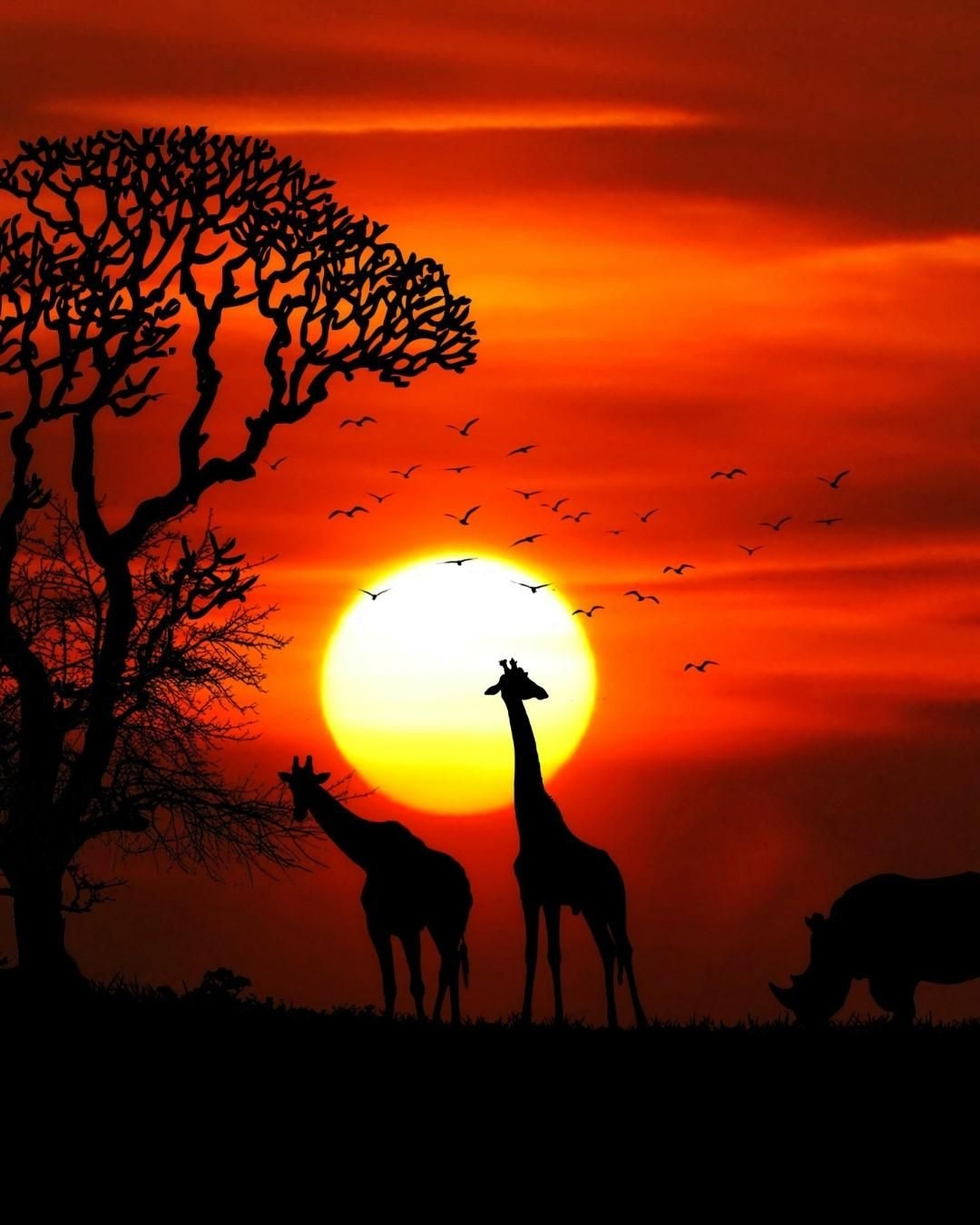 Celebrating Africa Day through community-driven hospitality partnerships