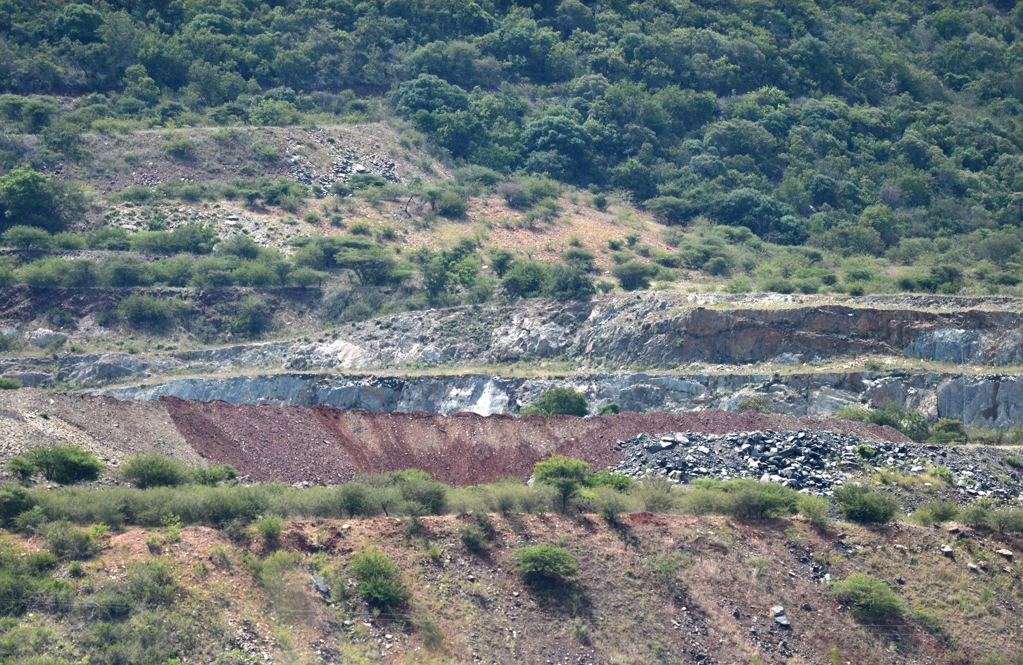 'If they were white, they would've been rescued': Mashaba slams government inaction over Lily Mine tragedy