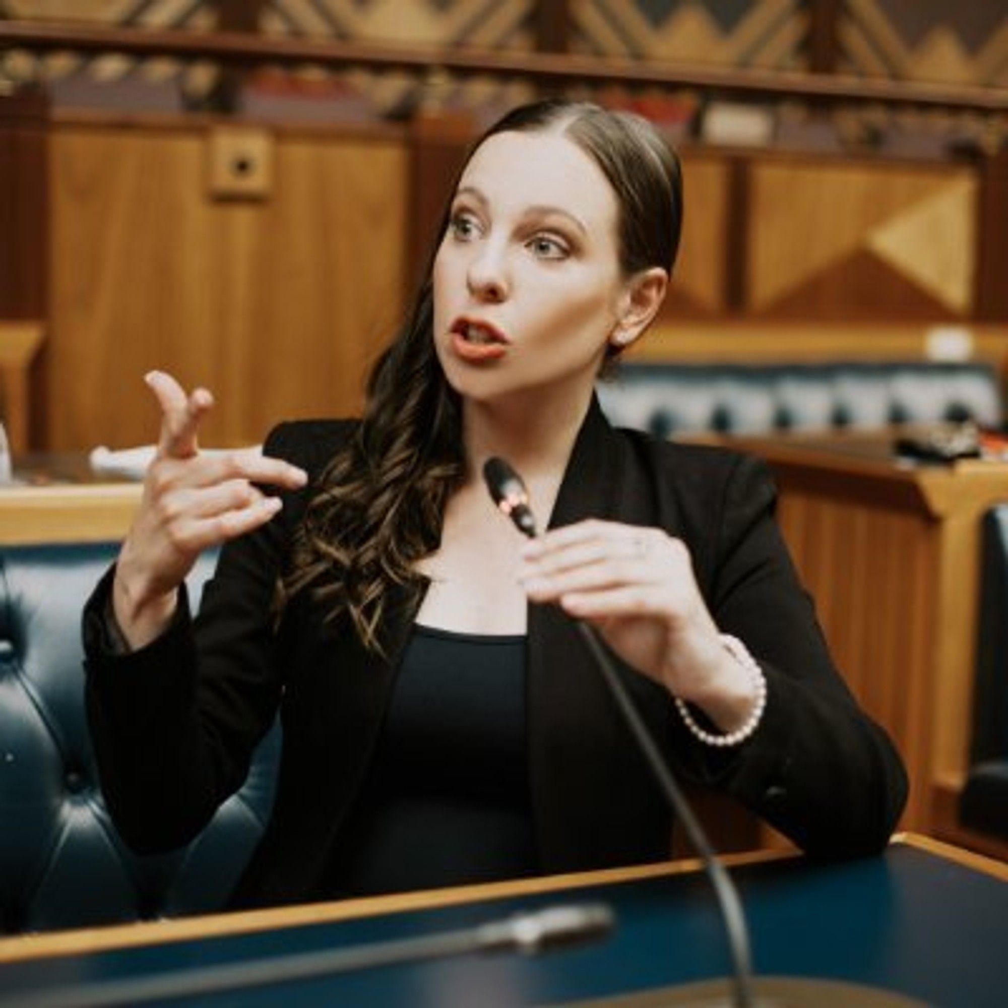 Israeli trip haunts DA MP