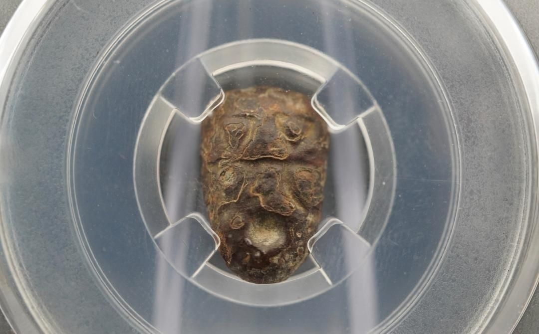 Rare ancient Chinese coins and modern Krugerrands to be auctioned in South Africa