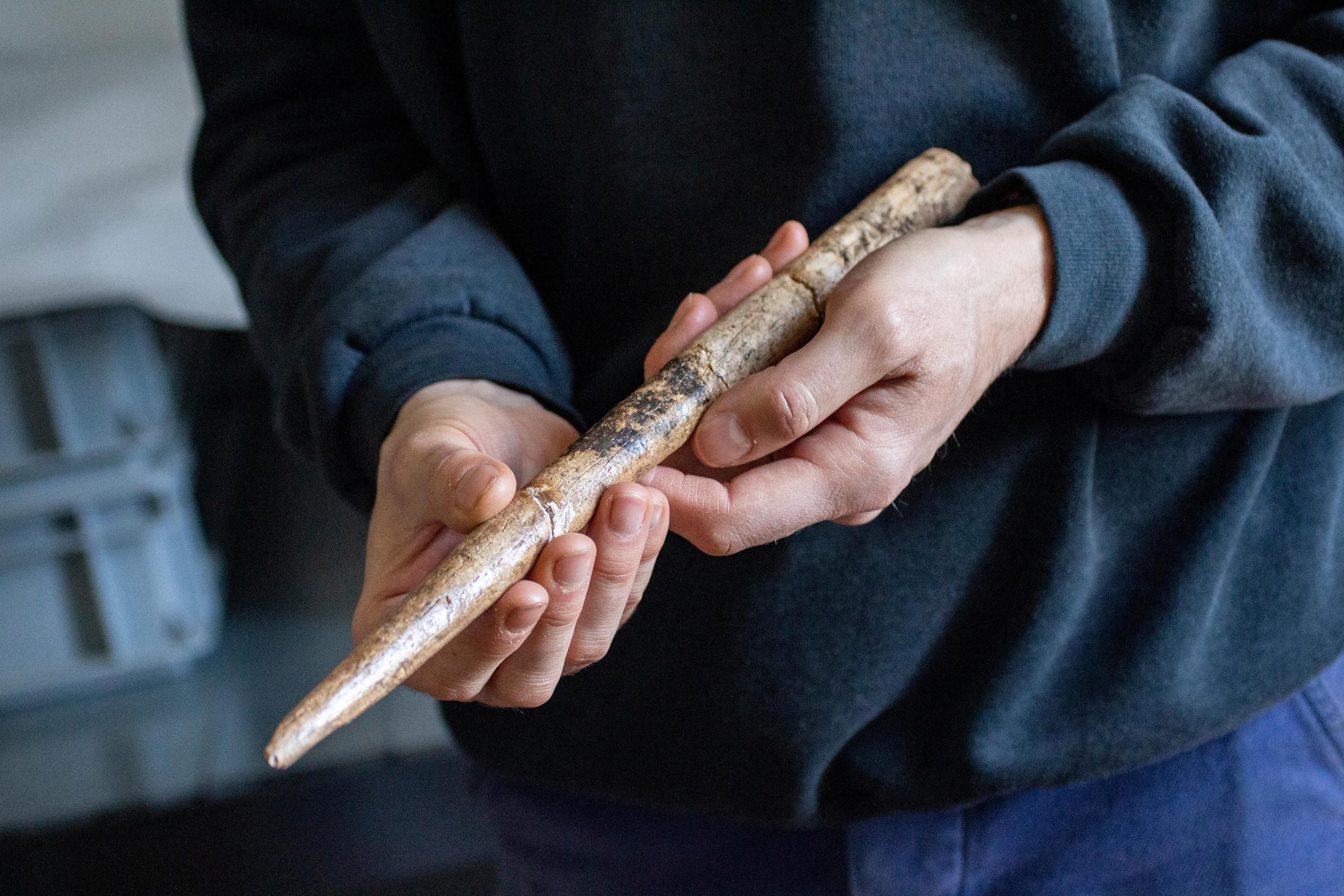 Early whalebone tools show inventiveness of prehistoric people