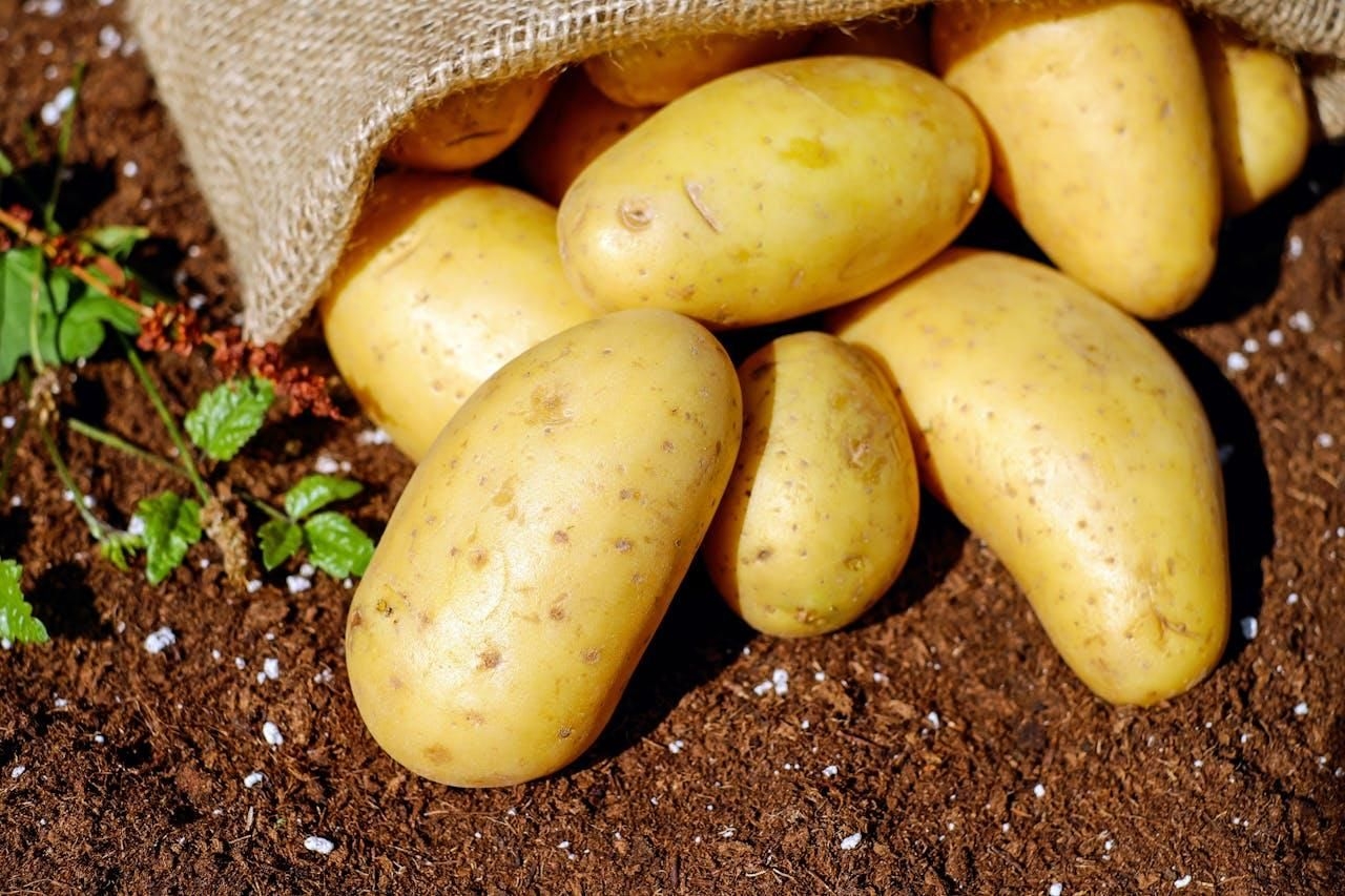 Golden Dish's menu changes: Is South Africa really facing a potato shortage?