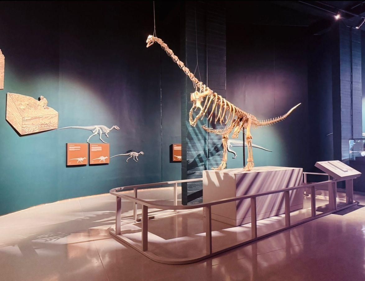 Explore the Kgodumodumo Dinosaur Interpretation Centre: A gateway to South Africa's prehistoric heritage